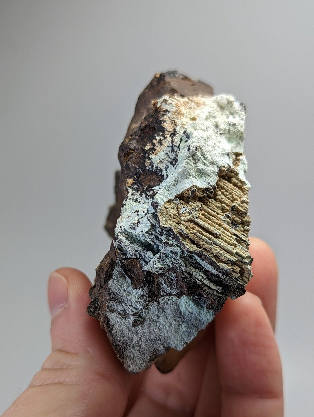Planerite on Novaculite - Very RARE - old stock 1970s- York Mine Polk Arkansas - Collectibles:Rocks Fossils &