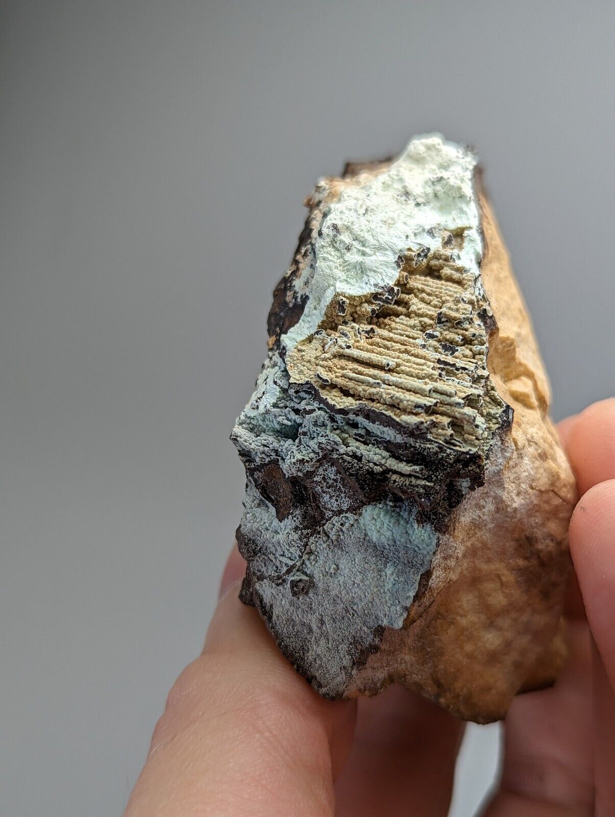 Planerite on Novaculite - Very RARE - old stock 1970s- York Mine Polk Arkansas - Collectibles:Rocks Fossils &