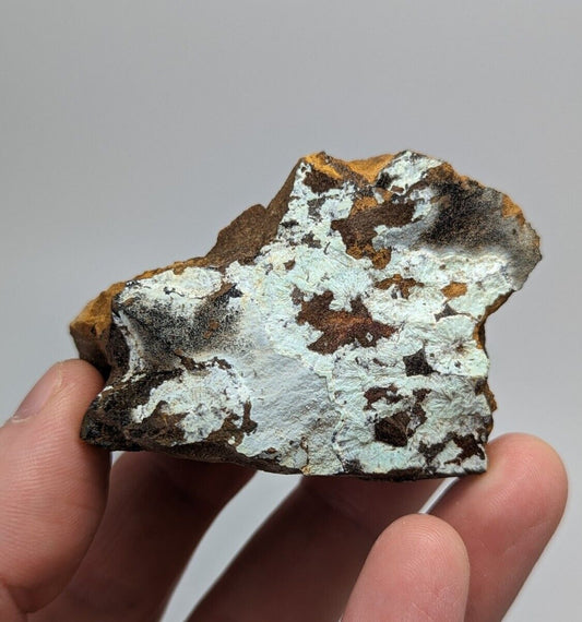 Planerite on Novaculite - Very RARE - old stock 1970s- York Mine Polk Arkansas - Collectibles:Rocks Fossils &