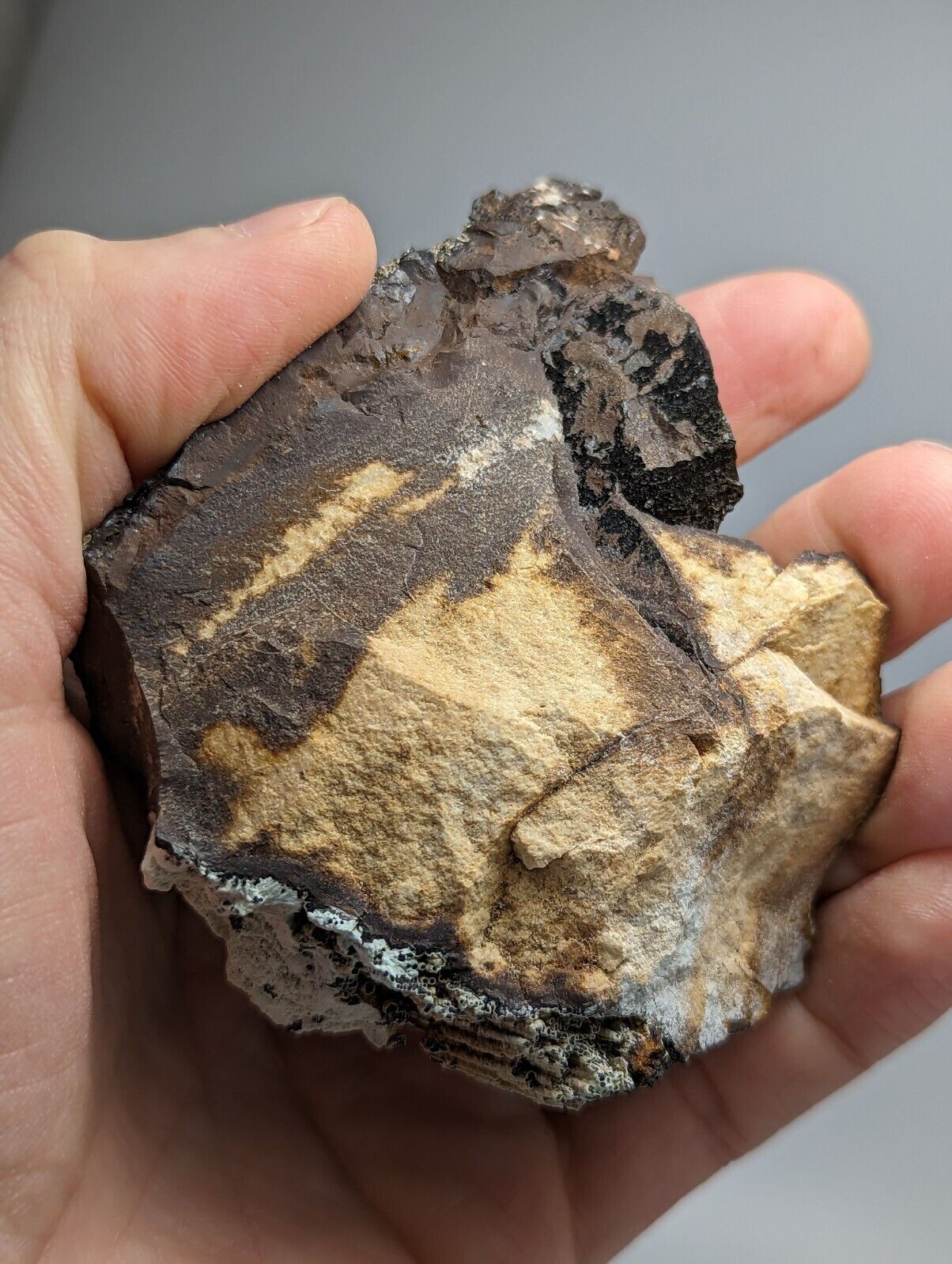 Planerite on Novaculite - Very RARE - old stock 1970s- York Mine Polk Arkansas - Collectibles:Rocks Fossils &