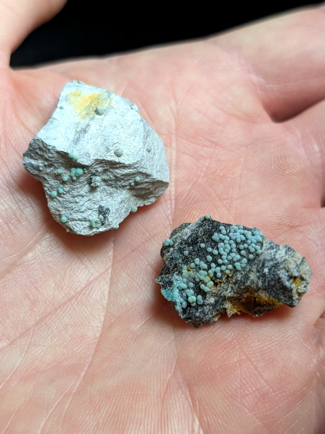 Planerite OOAK Set of 2 Mauldin Mountain Montgomery Co. Arkansas (Old Stock) - Collectibles:Rocks Fossils &