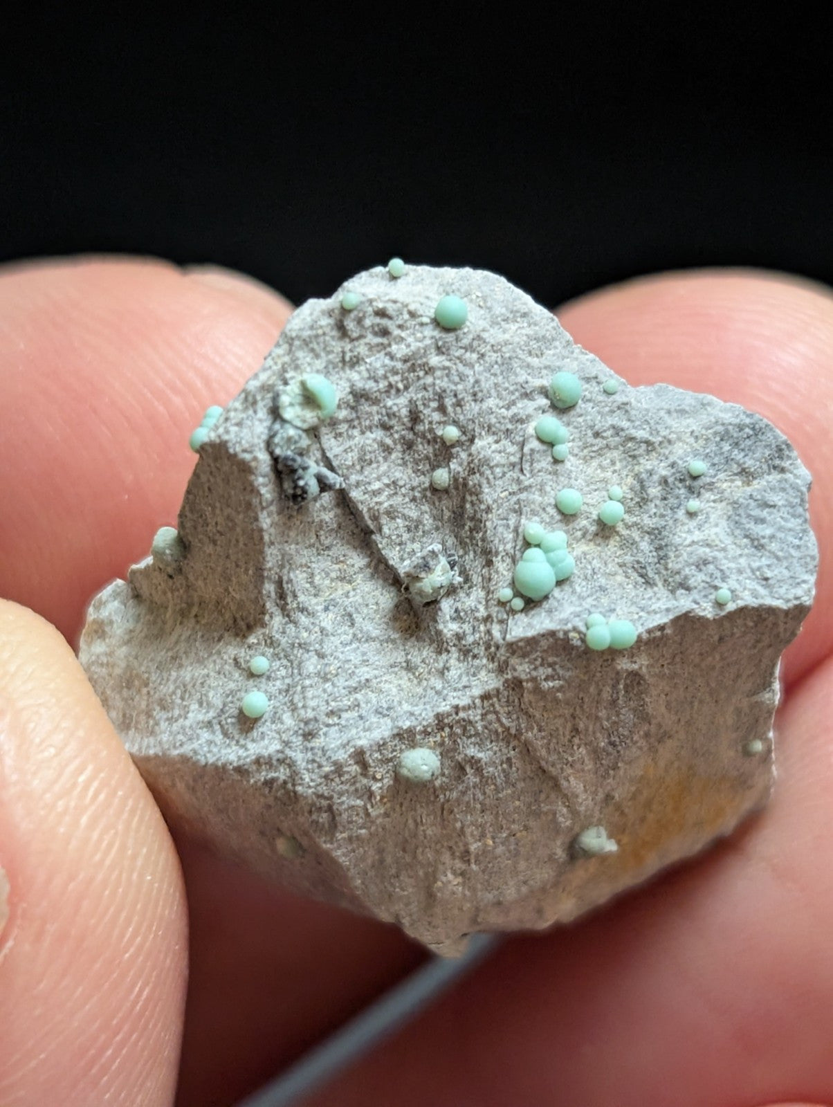 Planerite OOAK Set of 2 Mauldin Mountain Montgomery Co. Arkansas (Old Stock) - Collectibles:Rocks Fossils &