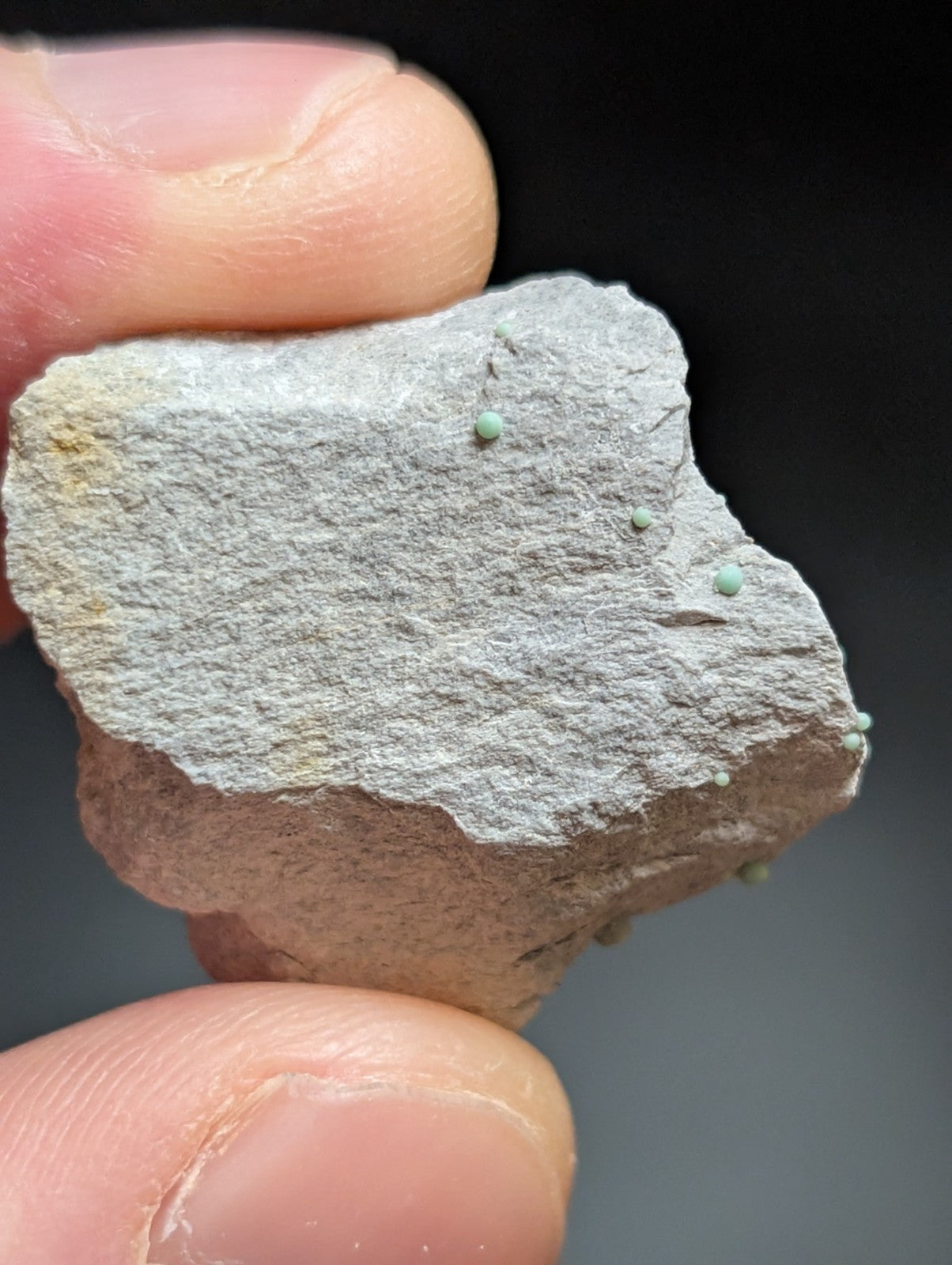 Planerite OOAK Set of 2 Mauldin Mountain Montgomery Co. Arkansas (Old Stock) - Collectibles:Rocks Fossils &