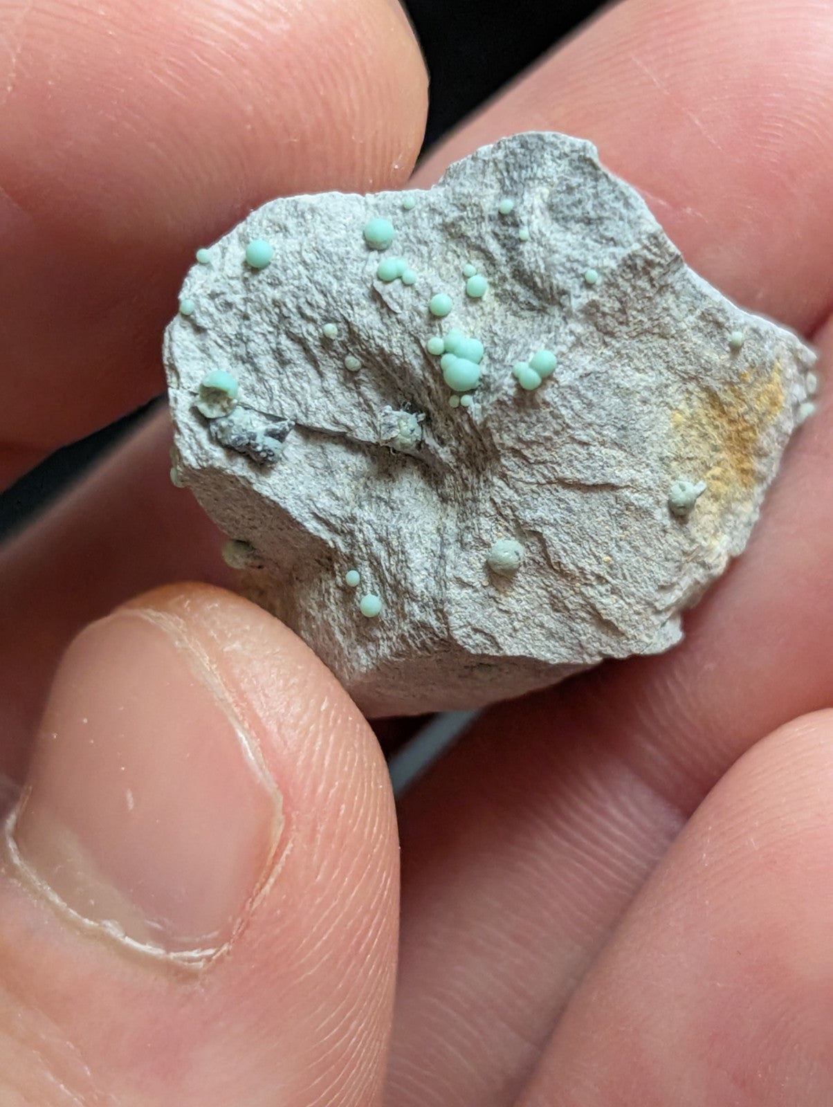 Planerite OOAK Set of 2 Mauldin Mountain Montgomery Co. Arkansas (Old Stock) - Collectibles:Rocks Fossils &
