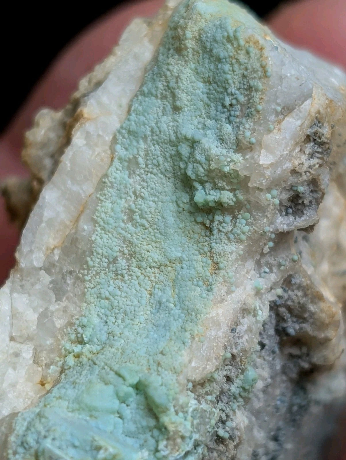 A textured, light green mineral specimen with a crystalline matrix and earthy tones.