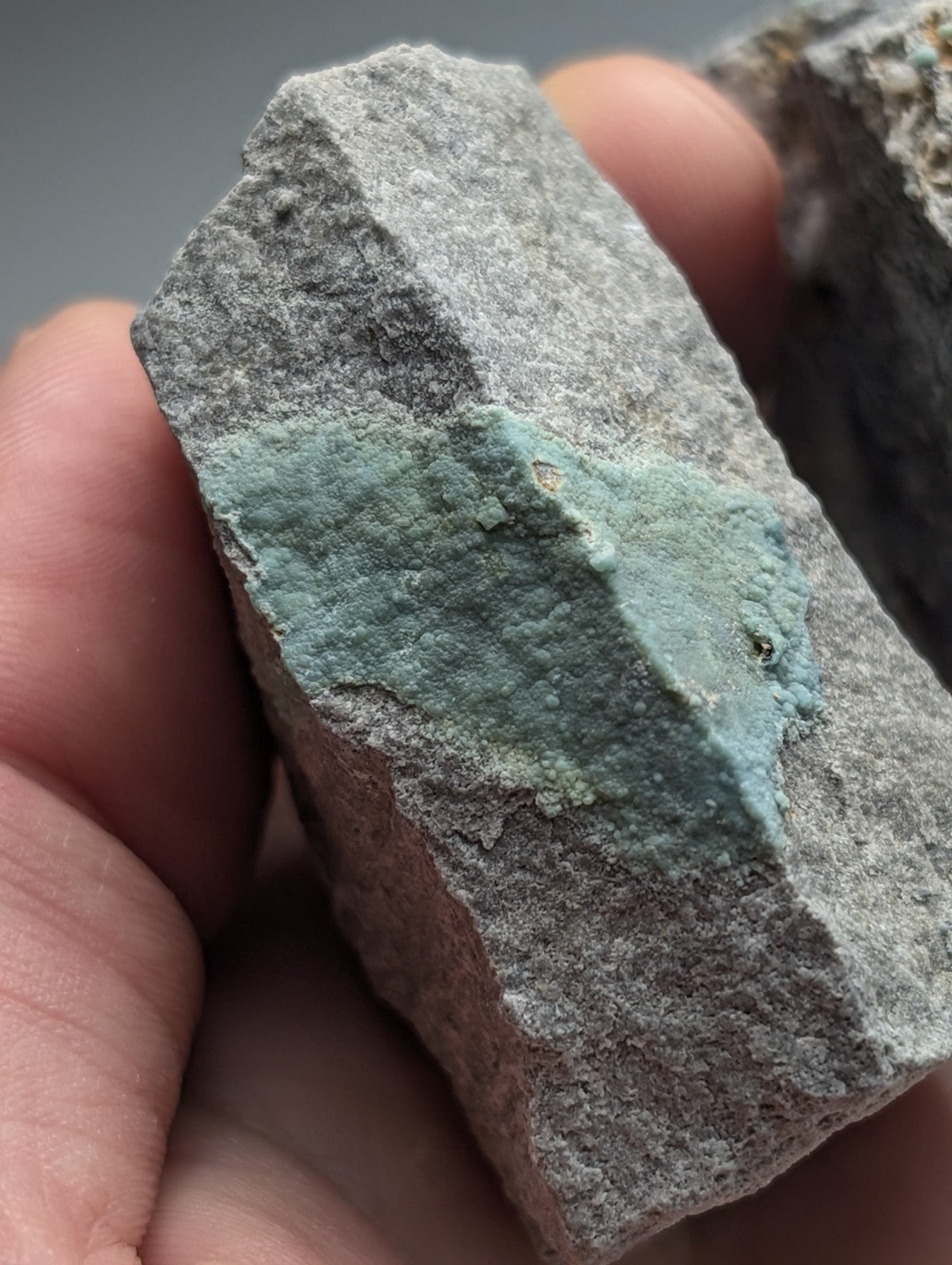 A hand holds a rough gray planerite rock with light blue-green UV reactive mineral from Mauldin Mountain Arkansas