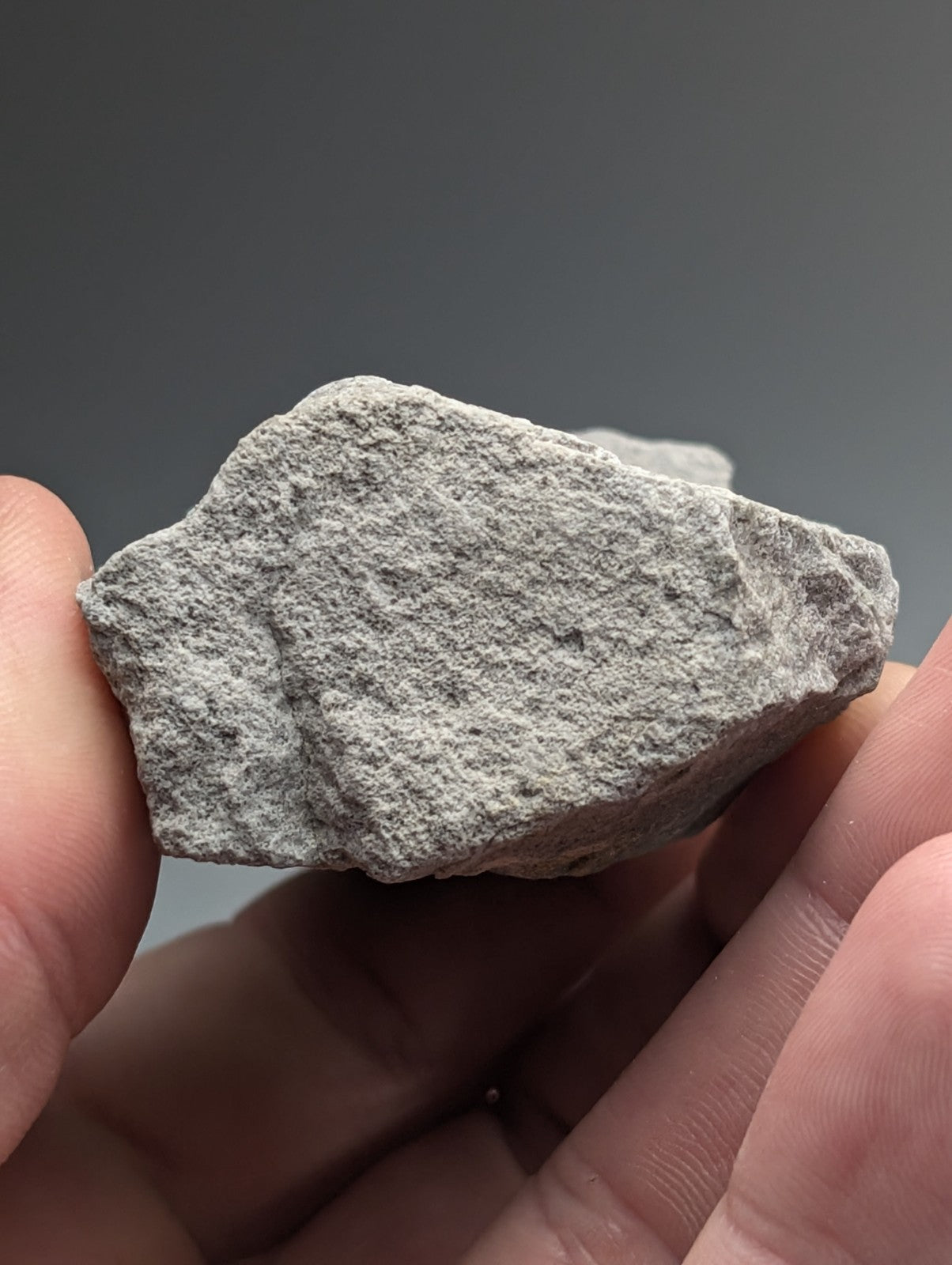 A rough gray planerite stone set of 2 from mauldin mountain arkansas with a textured surface and uv reactive properties held in hand