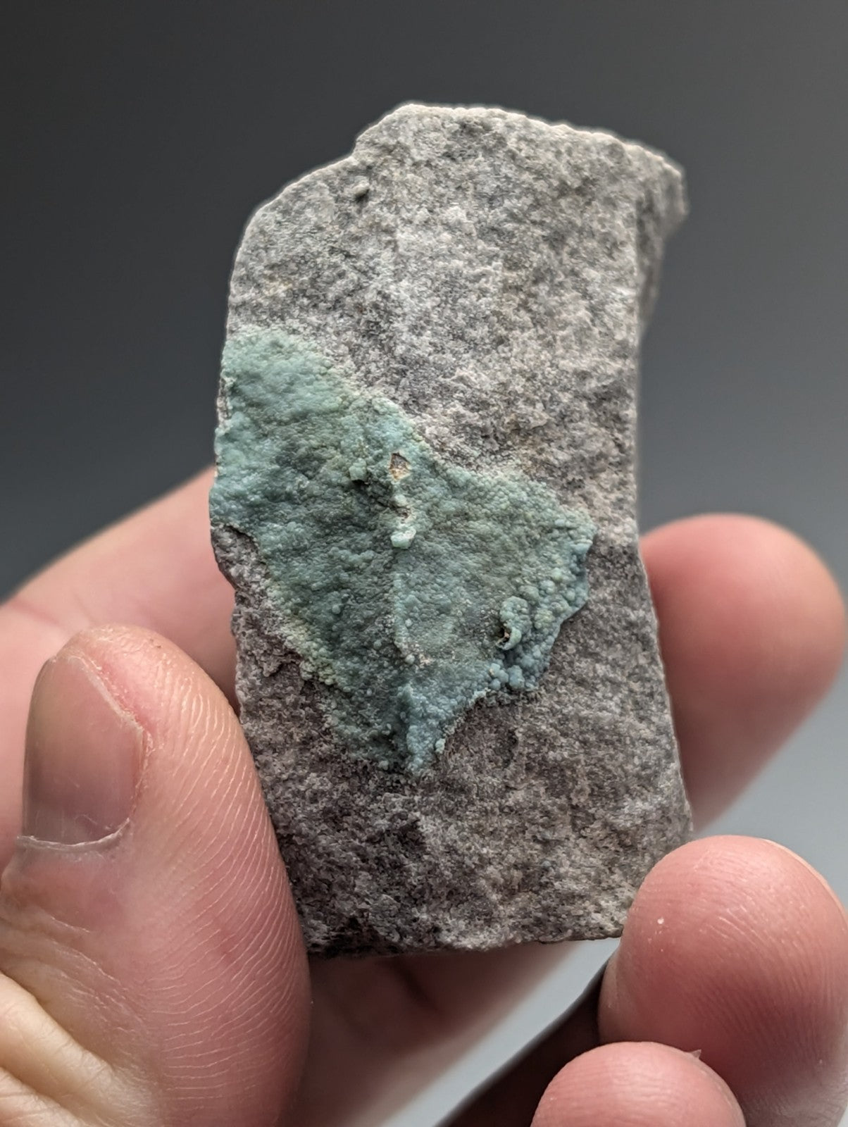 A hand holds a rough gray planerite rock fragment with vibrant green UV reactive patina from Arkansas