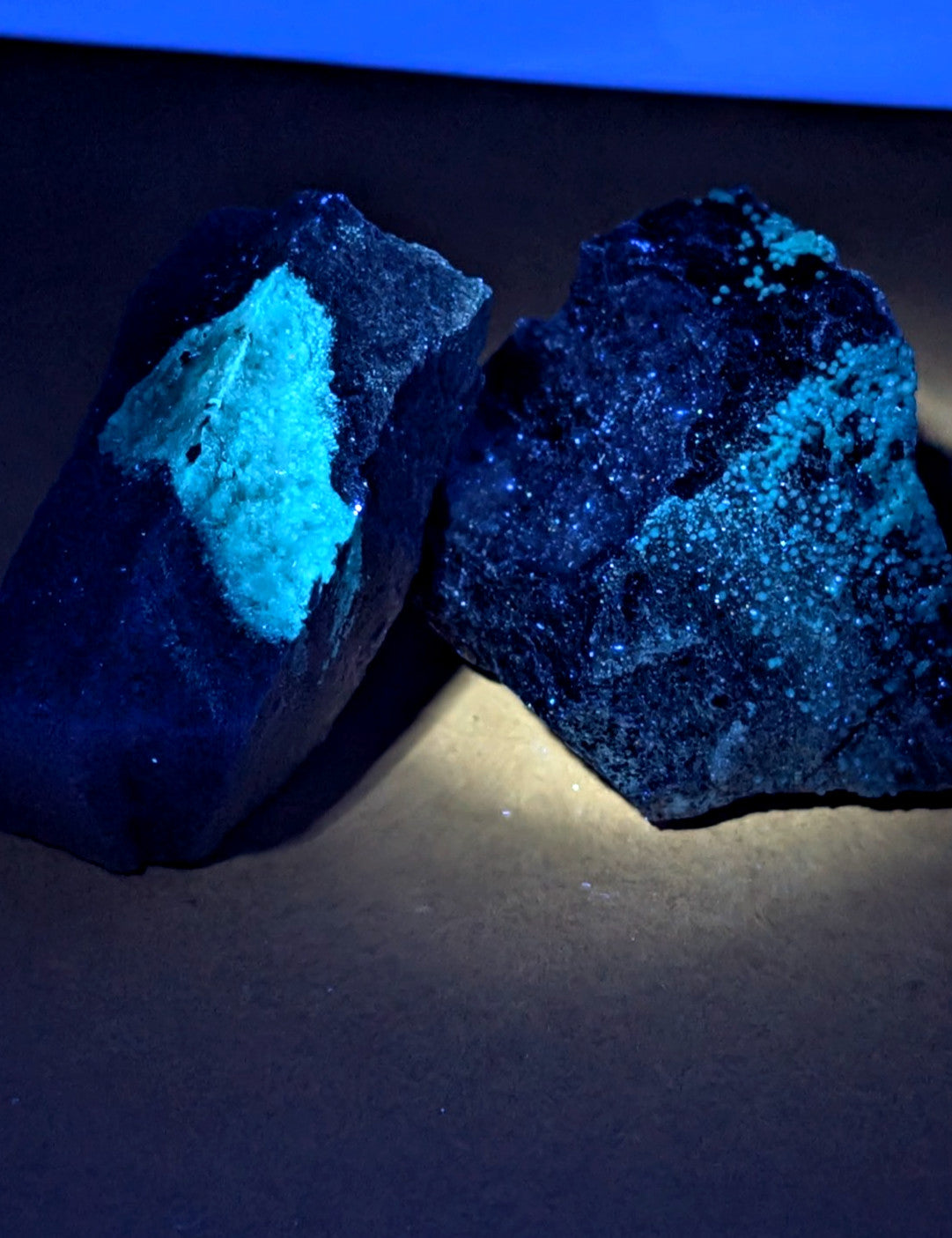 Two irregular dark blue planerite minerals with vibrant turquoise fluorescent patches under blacklight from arkansas