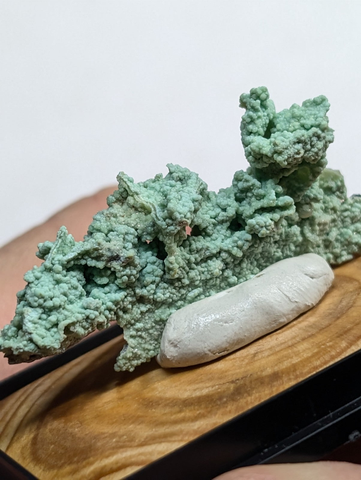 A textured, light green mineral specimen with a rough, bubbly surface rests beside a smooth white stone on a wooden display tray.