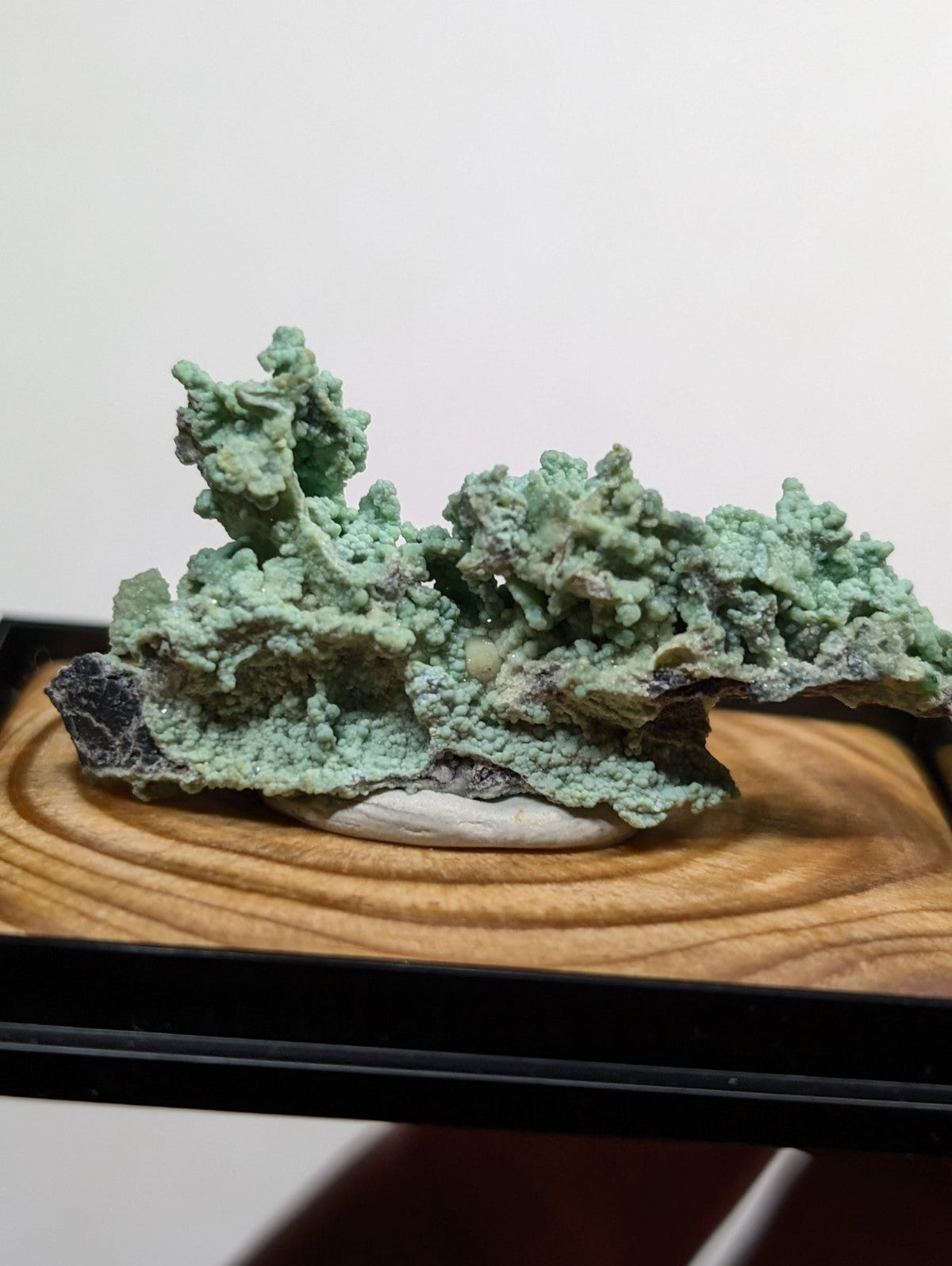 A textured, light green mineral specimen with a rough, branching surface rests on a dark base and is displayed in a wooden frame.