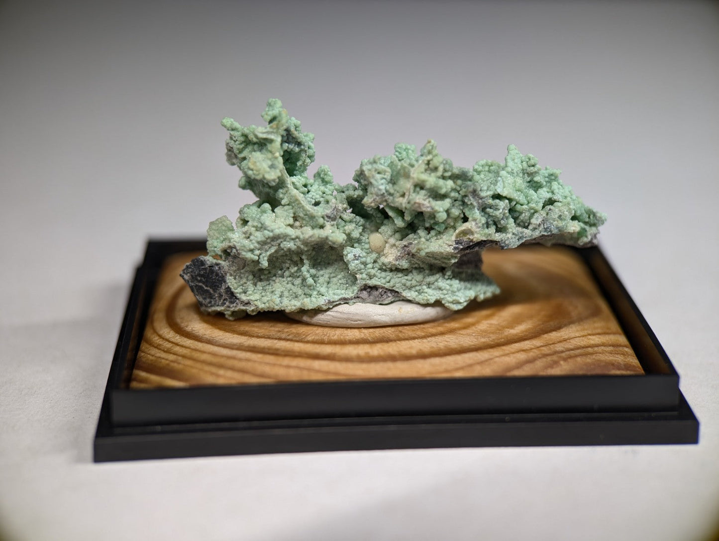 A textured, light green mineral specimen with a rough, branching surface rests on a wooden base within a black display frame.