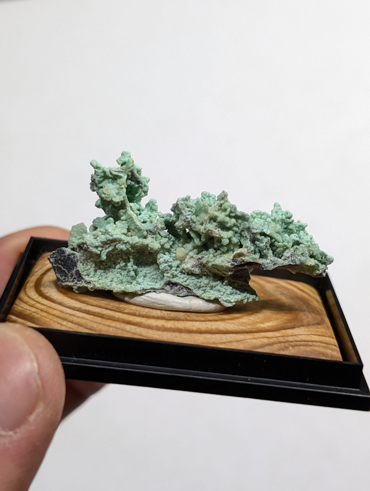 A miniature green mineral specimen with a textured, branching surface displayed in a black-framed wooden base.