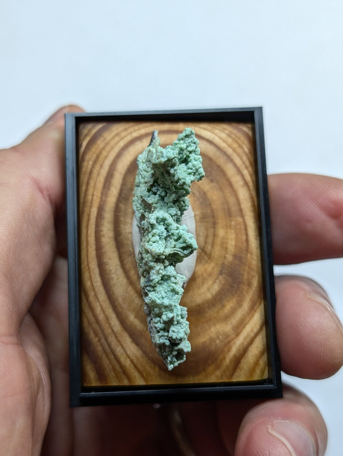 A textured, light green mineral specimen displayed in a black-framed wooden shadowbox.