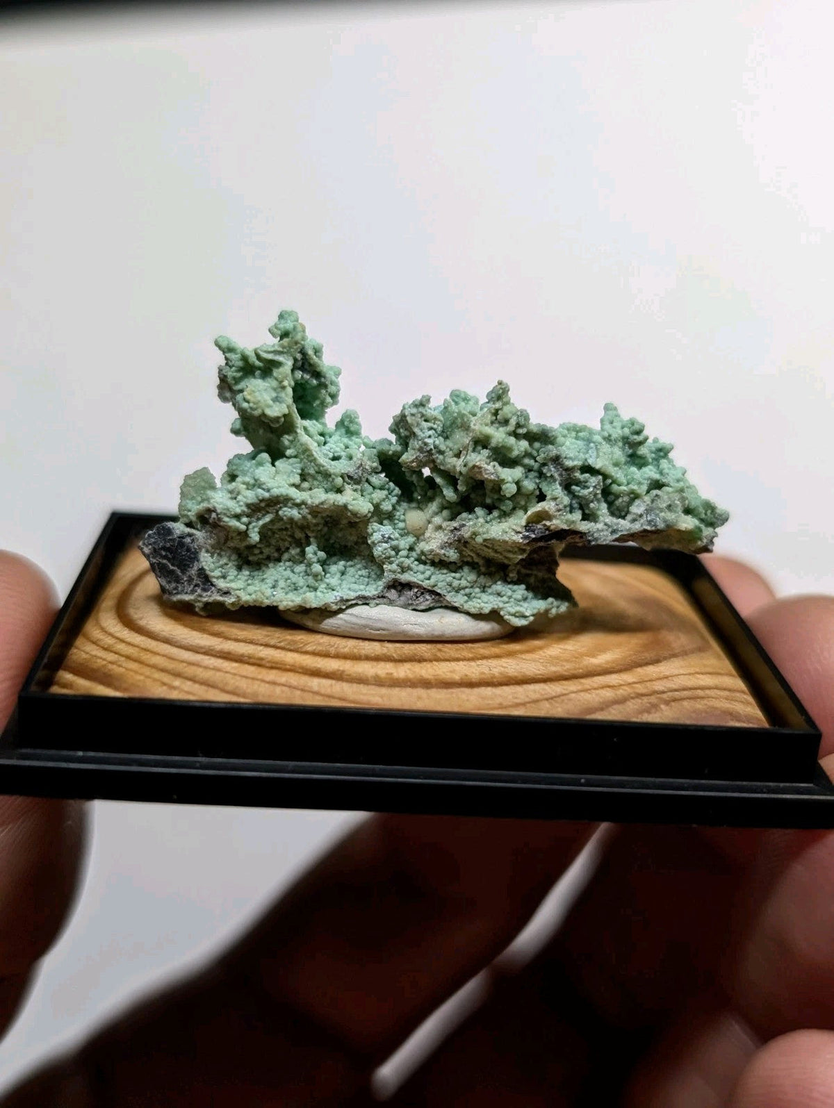 A vibrant green, textured mineral specimen displayed in a sleek black-framed wooden base.