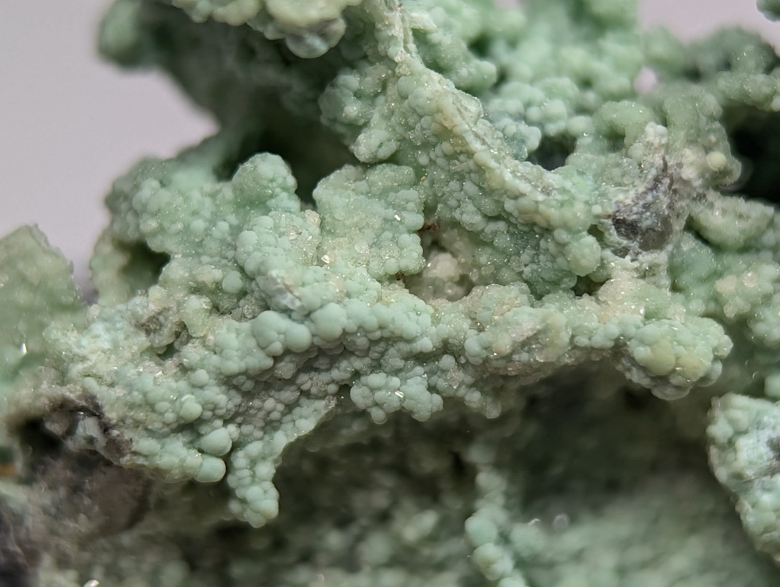 A textured, light green mineral specimen with a bumpy, clustered surface.