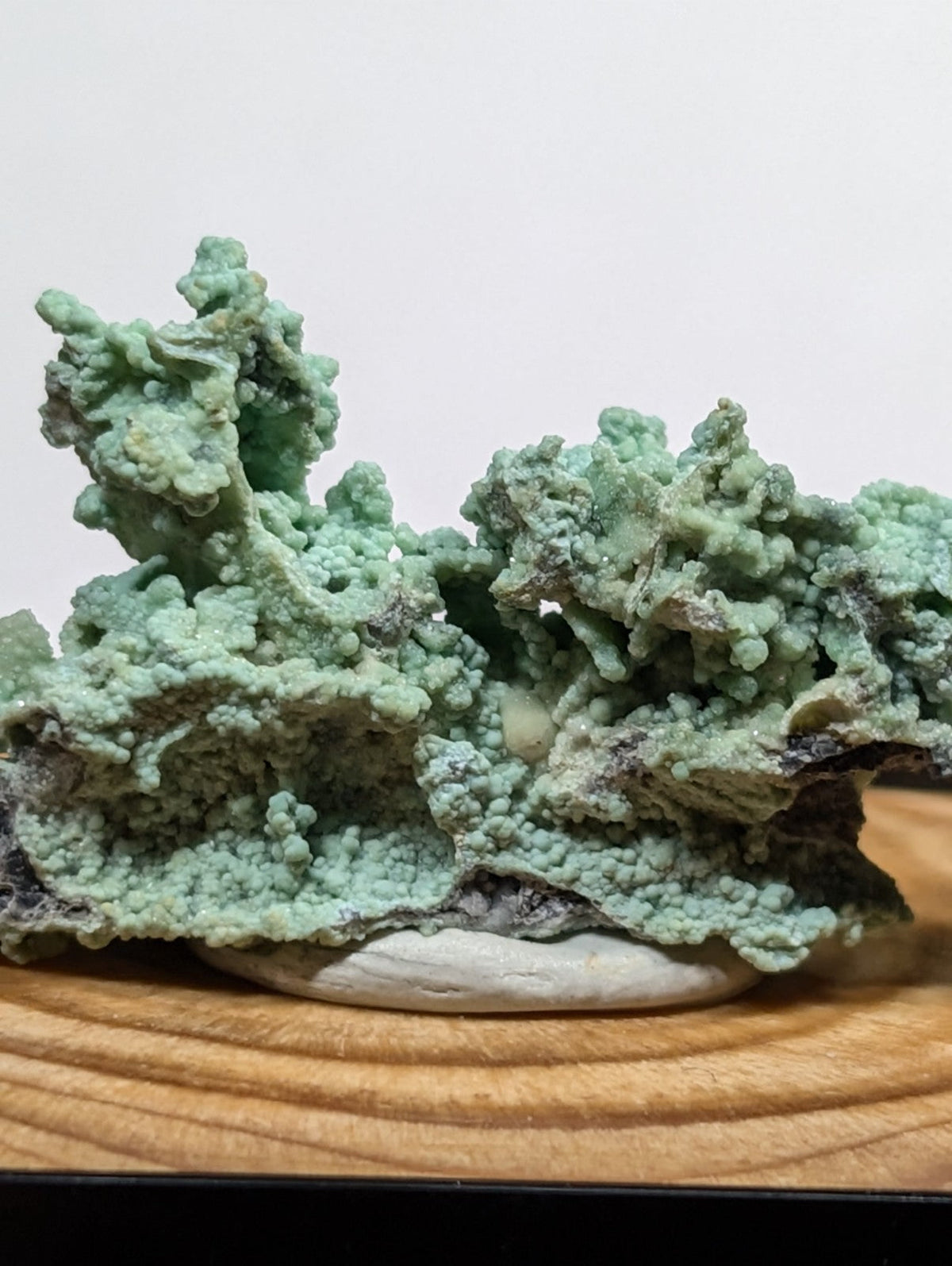 A textured, light green mineral specimen with a rough, bumpy surface and darker grayish patches.