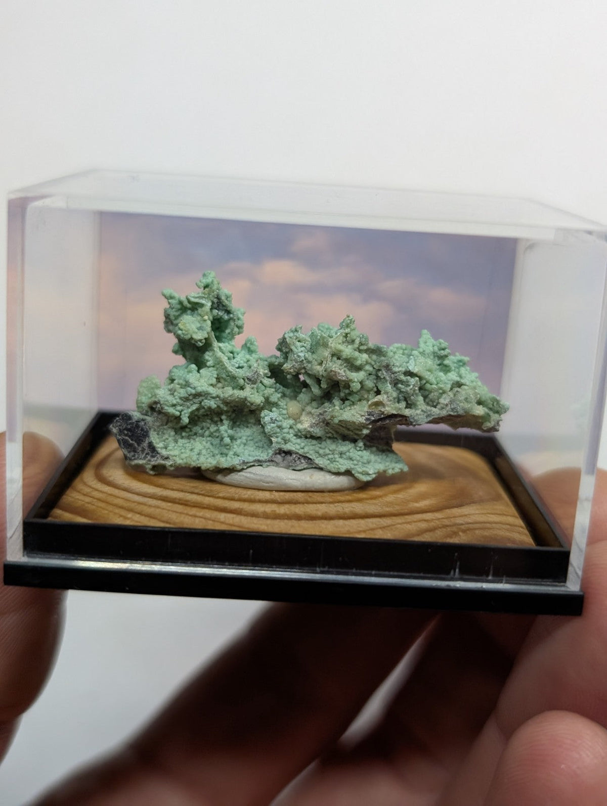A miniature green mineral specimen displayed in a clear acrylic case with a wooden base and printed sky backdrop.