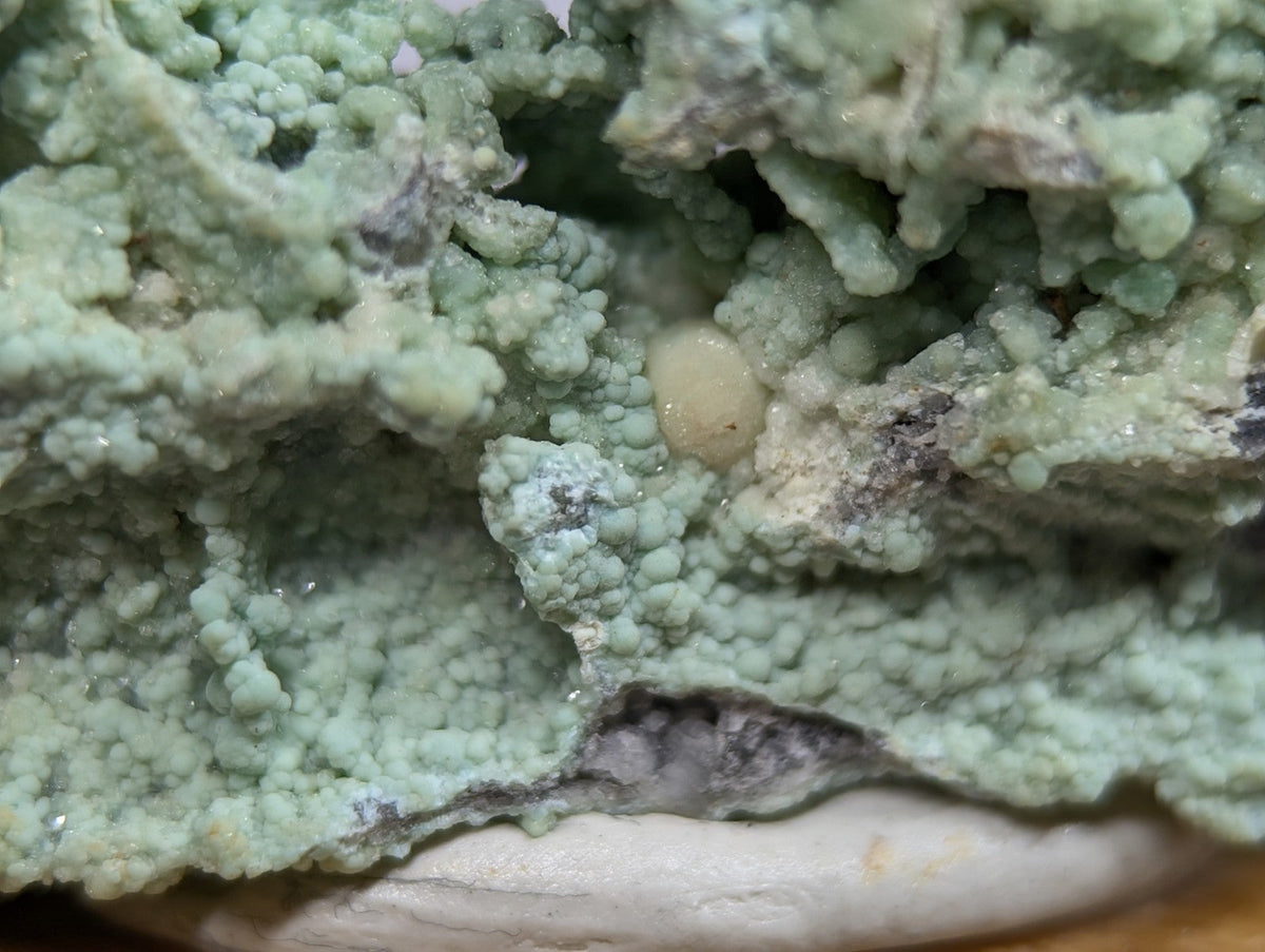 A pale, translucent, oval-shaped mineral specimen nestled within a textured greenish-blue crystalline matrix.