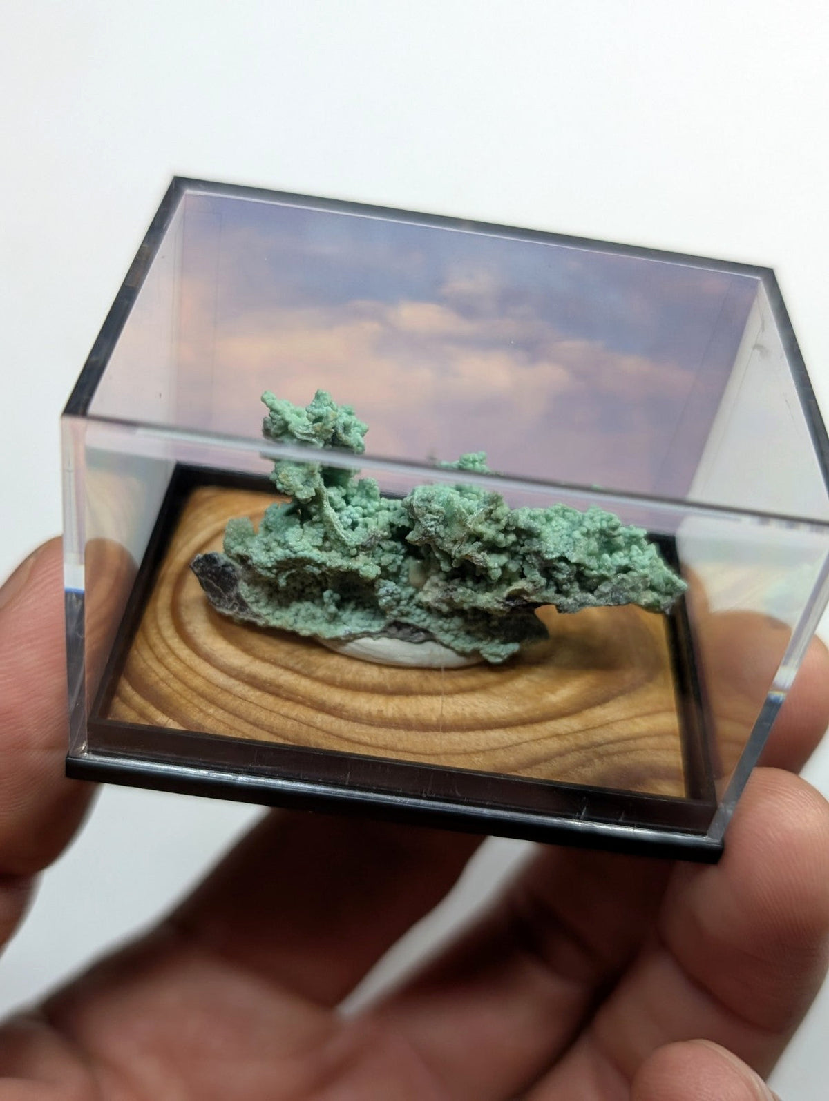 A green, textured mineral specimen displayed in a clear acrylic display case with a wooden base and printed sky backdrop.