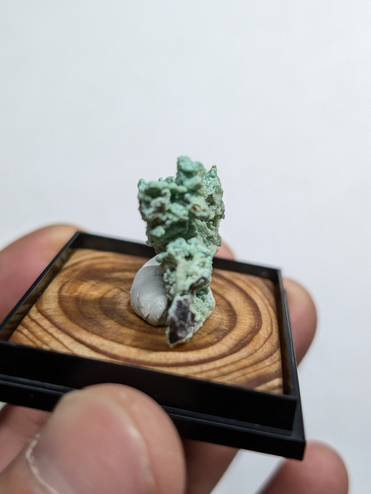 A miniature green patina-coated mineral specimen displayed in a black-framed wooden base.