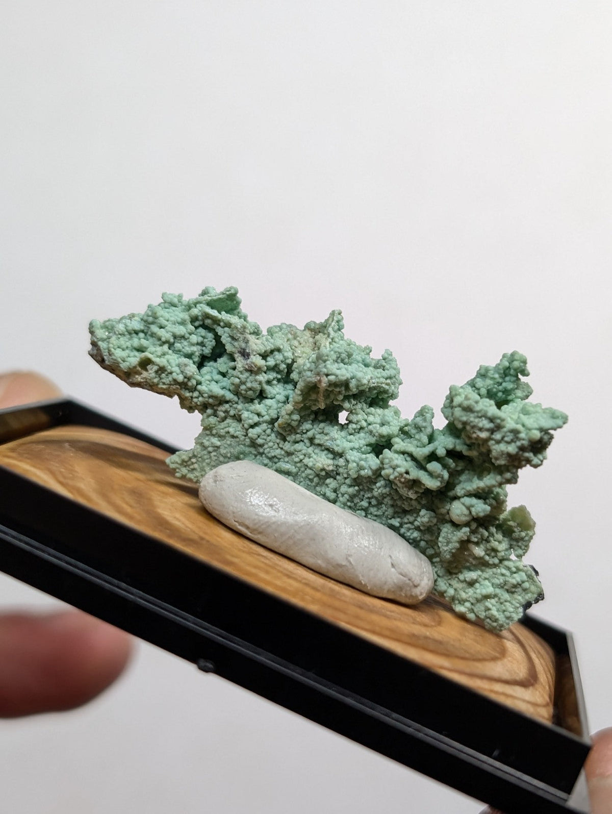 A textured, mint-green mineral specimen with a smooth white oval stone resting on a wooden base inside a black display box.