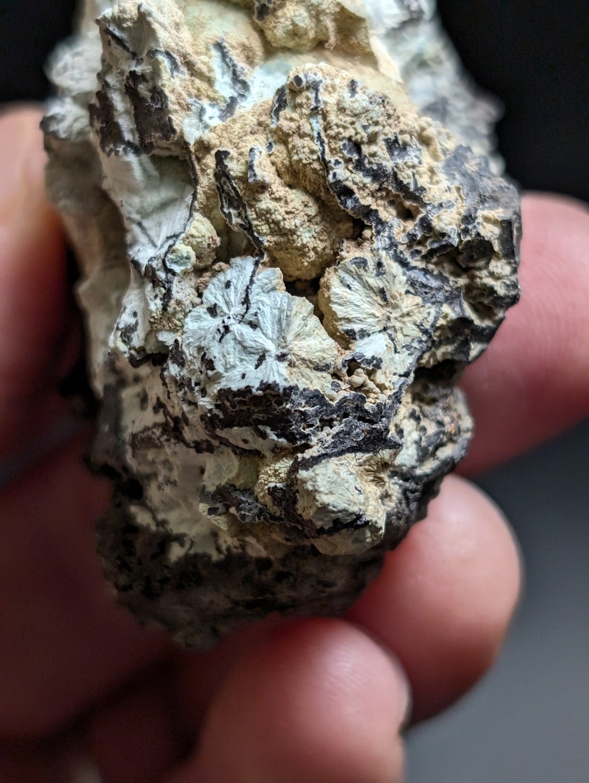 A rugged, irregularly shaped rock with a textured surface featuring patches of pale gray and dark brown mineral formations.