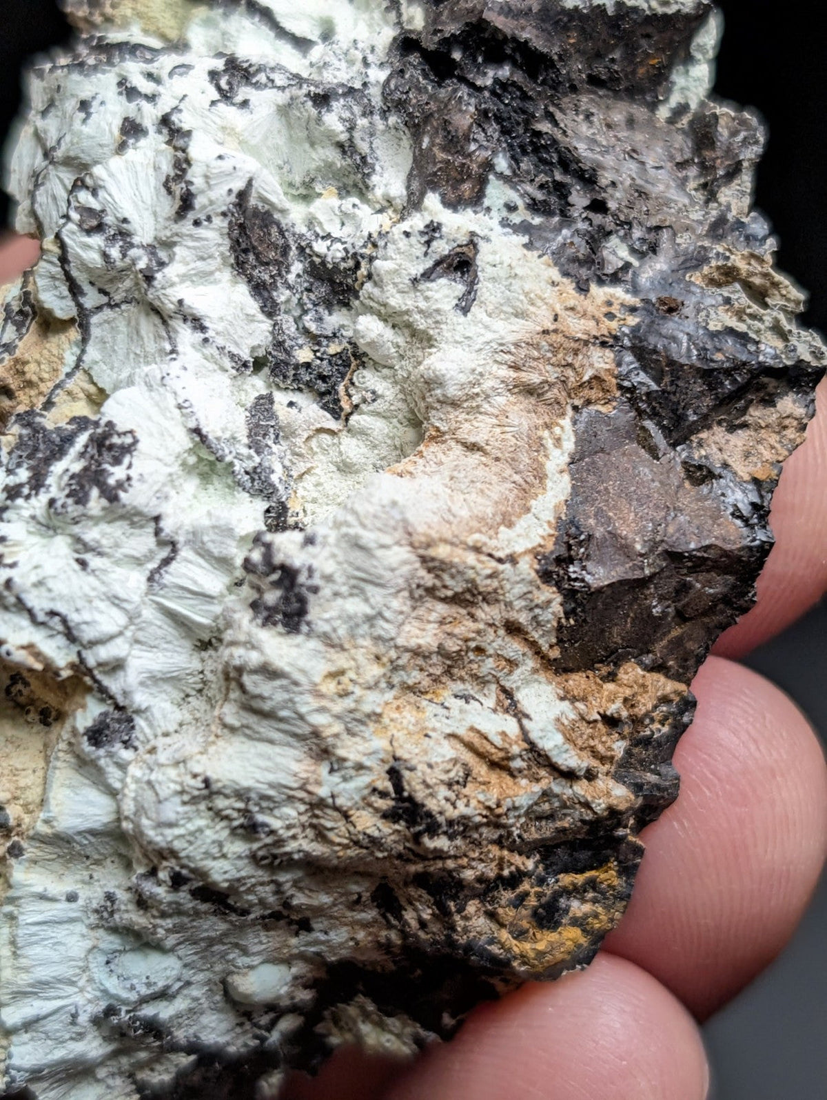 A rugged, irregularly shaped rock specimen with a textured surface featuring patches of white, gray, black, and earthy brown tones.