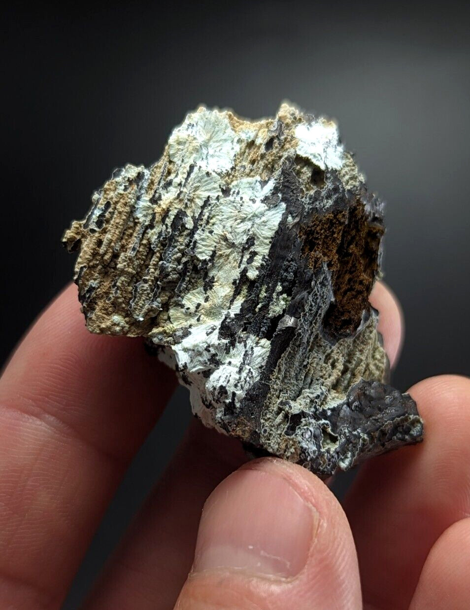 A rugged, irregularly shaped mineral specimen with a mottled surface of white, gray, black, and brown hues.