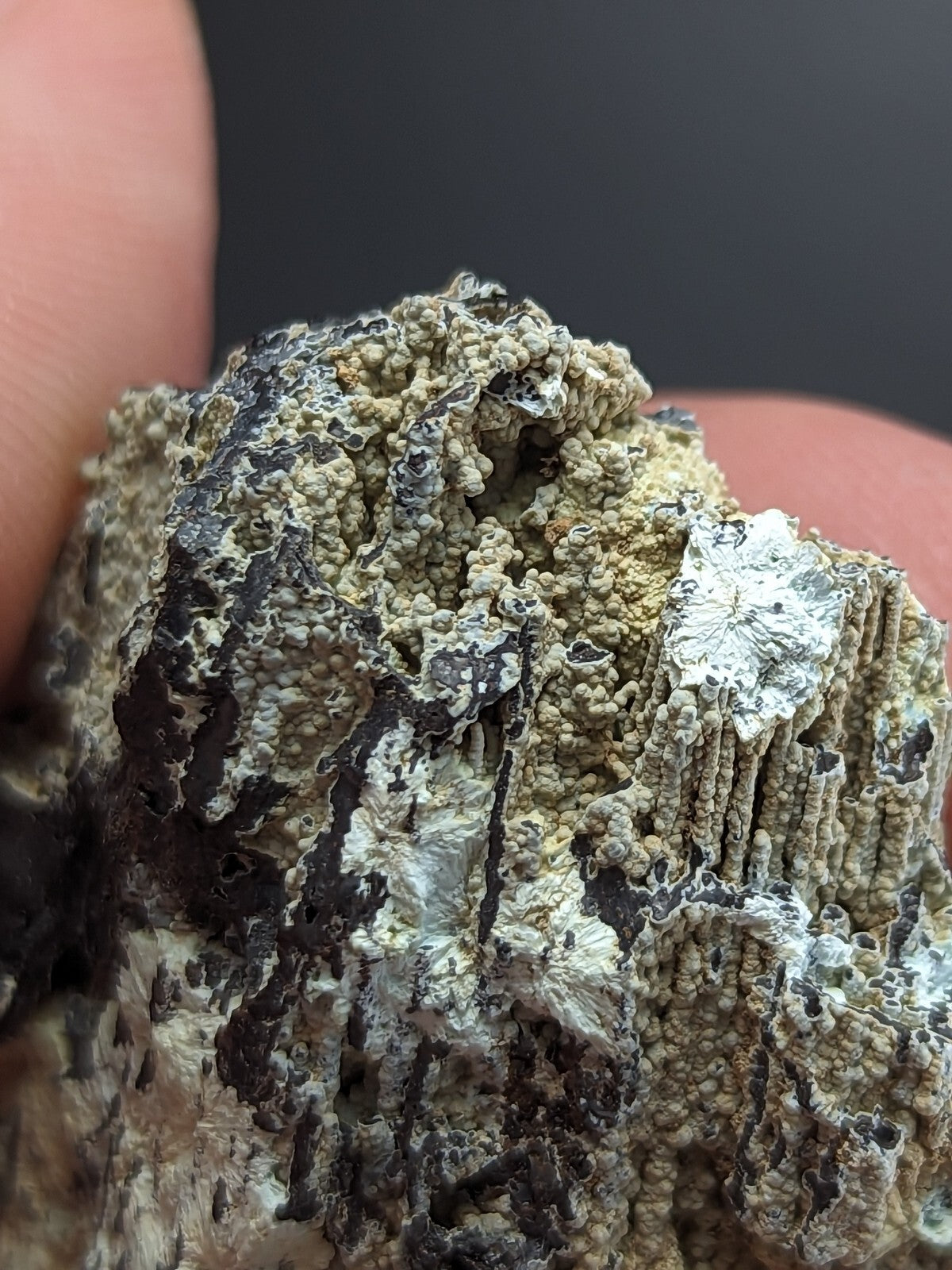 A textured, irregularly shaped mineral specimen with a mottled surface of gray, black, and pale greenish-yellow patches.