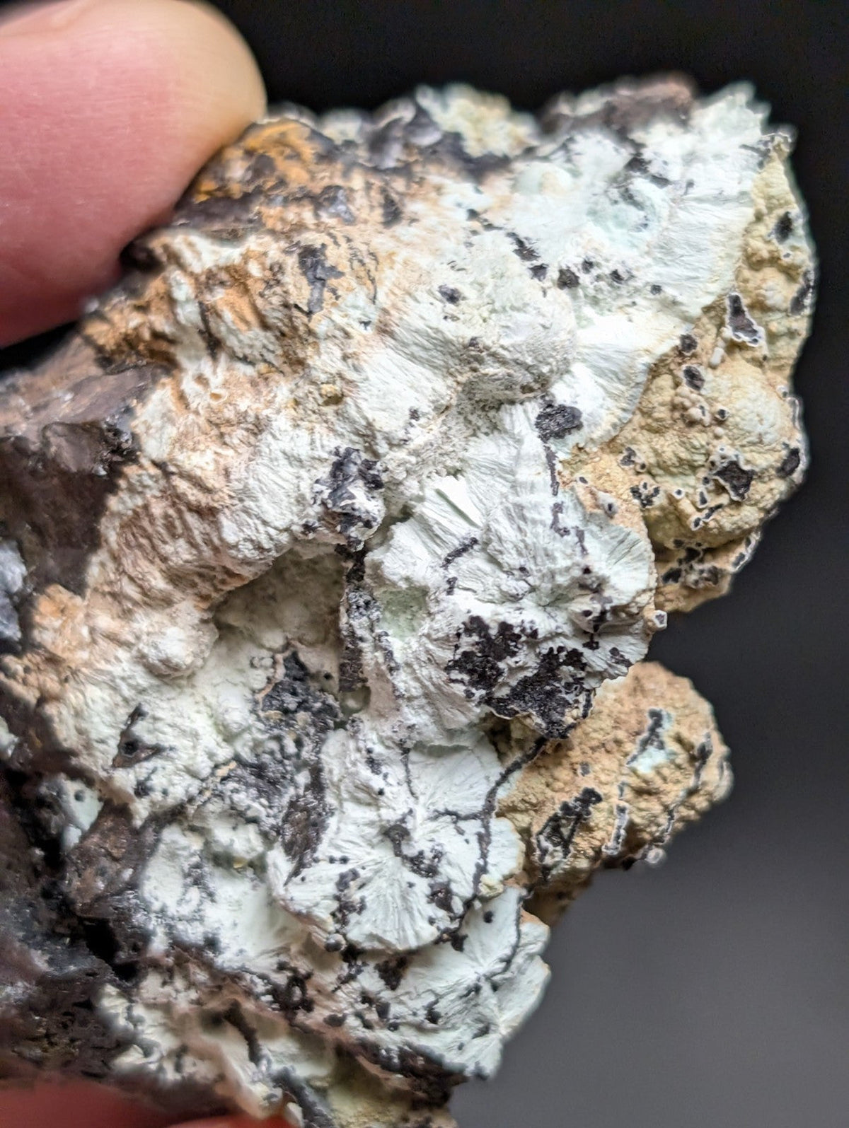A rugged, irregularly shaped mineral specimen with a textured surface featuring patches of white and gray crystalline formations interspersed with dark brown and black speckles.
