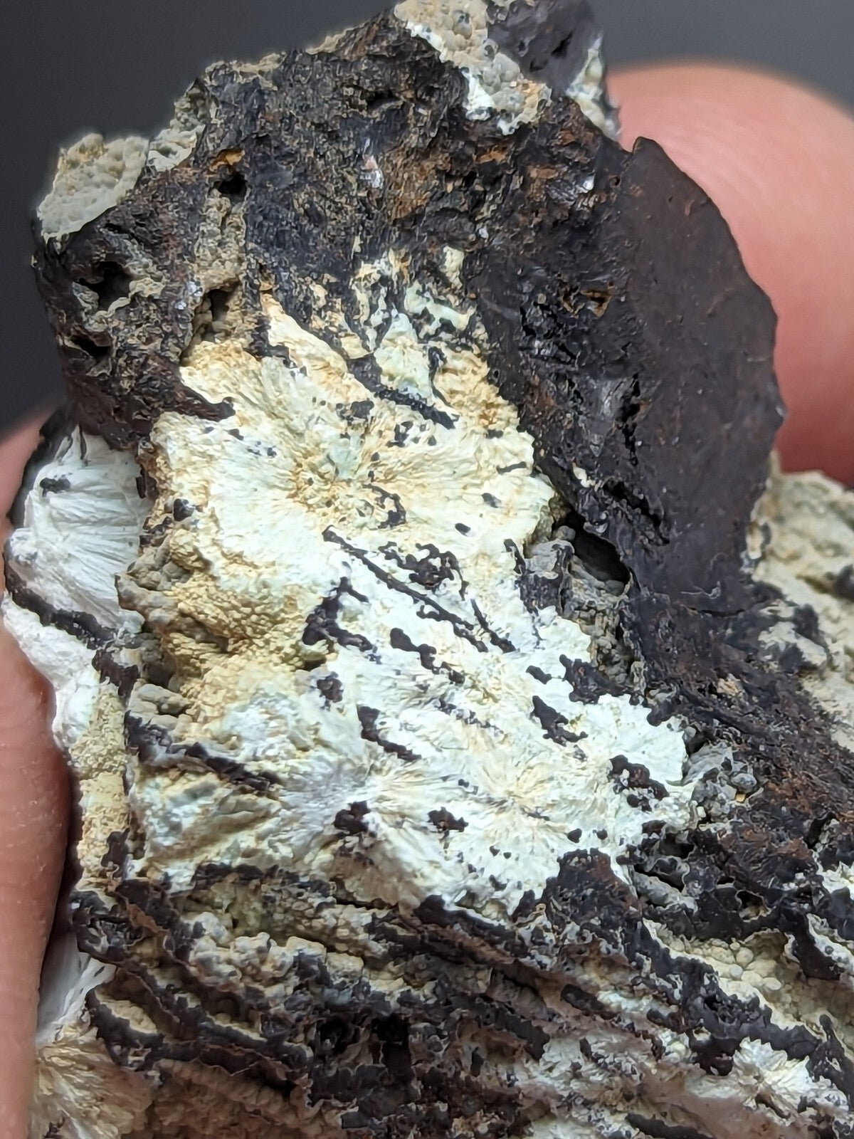 A rugged, naturally occurring mineral specimen featuring a striking contrast between dark, rough-textured rock and lighter, crystalline formations in shades of white and pale yellow.