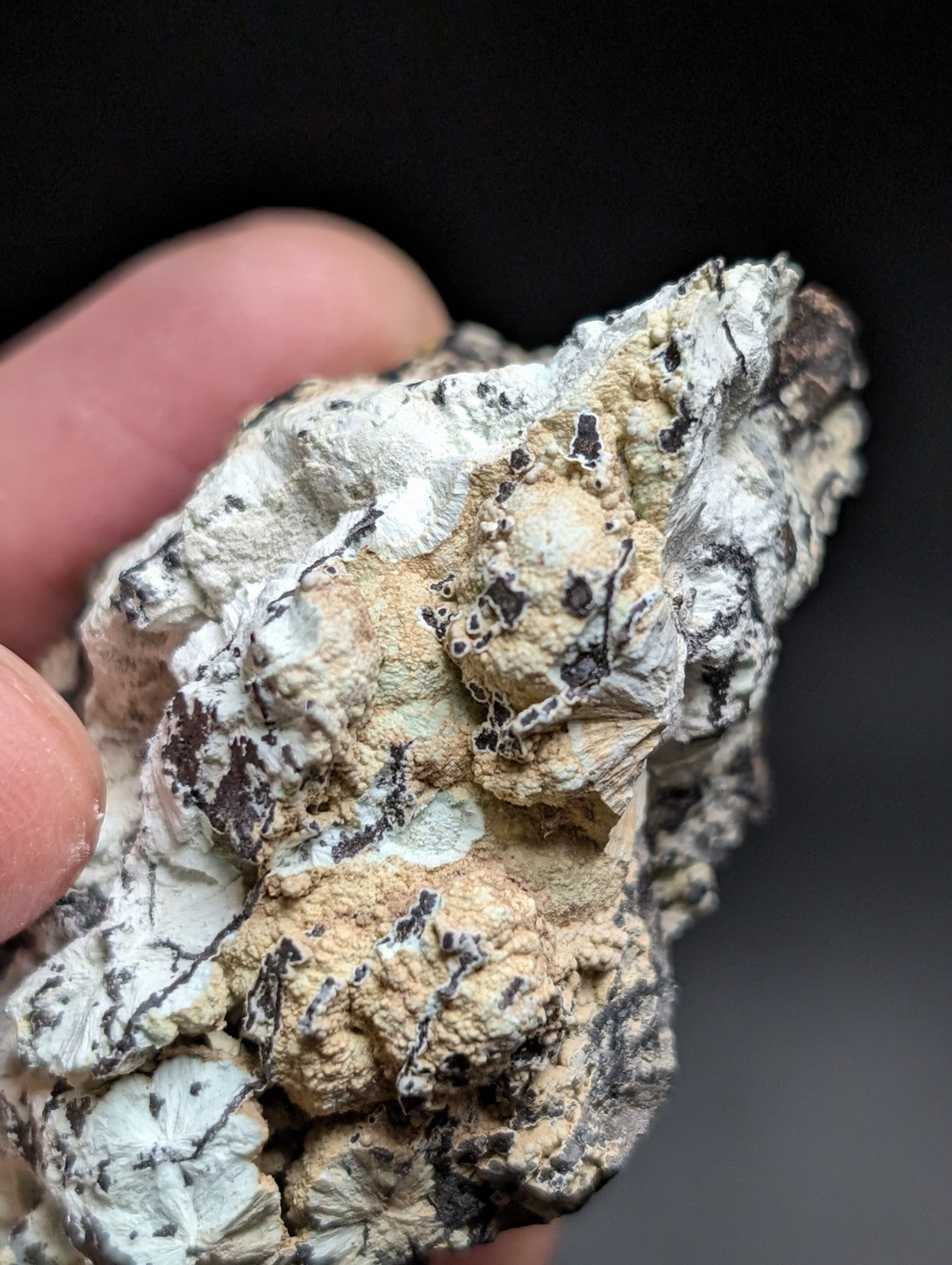 A rugged, irregularly shaped mineral specimen with a mottled surface of white, beige, and dark gray patches.