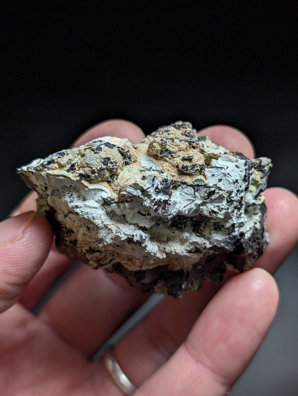 A rough, irregularly shaped mineral specimen with a mottled surface of white, gray, and dark speckles.