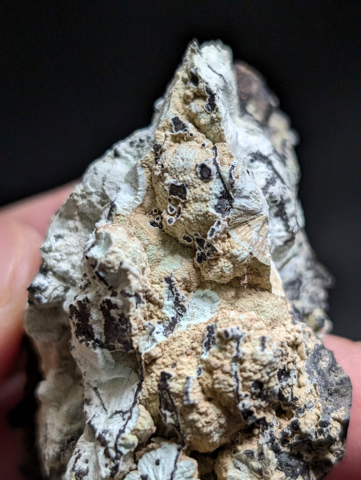 A textured, irregularly shaped mineral specimen with a mottled surface of white, beige, and dark gray patches.