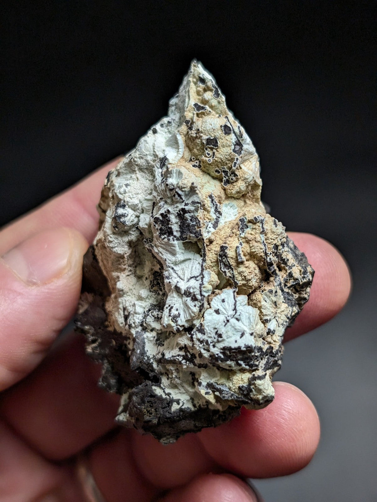 A rugged, irregularly shaped mineral specimen with a mottled surface of white and dark gray patches.
