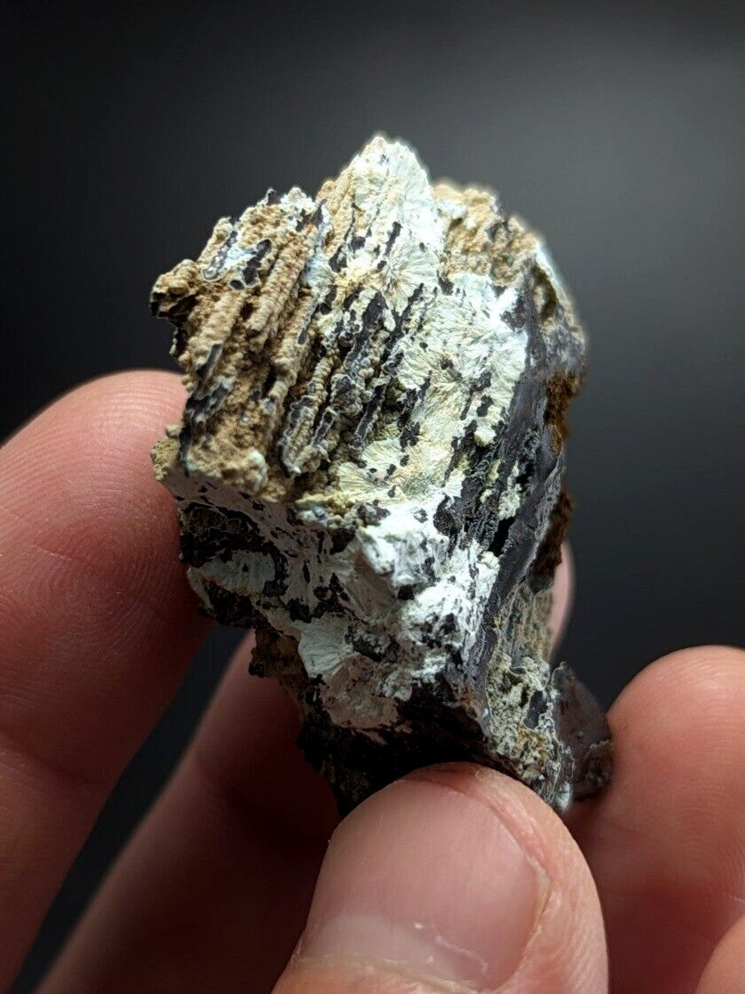 A rugged, naturally occurring mineral specimen with a textured surface featuring alternating bands of white and dark gray, accented by patches of beige and black.