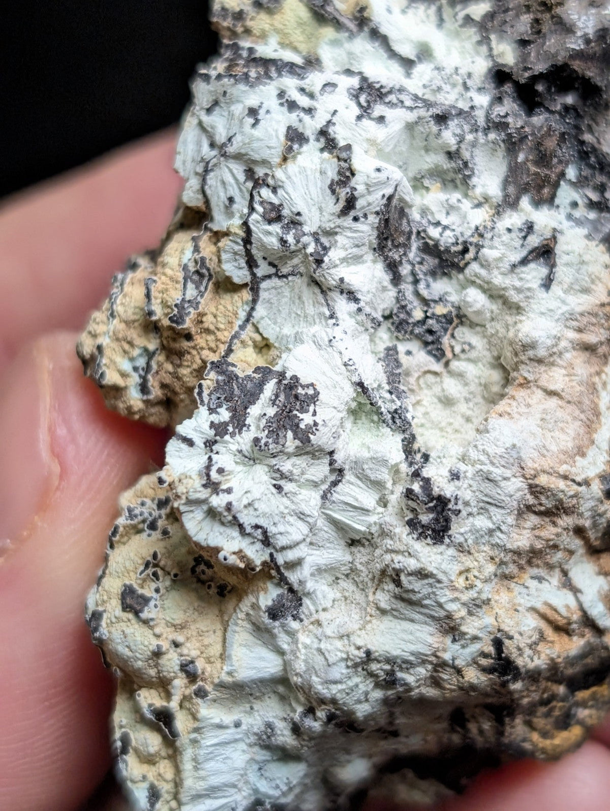A textured, irregularly shaped mineral specimen with a mix of white, gray, and tan hues, featuring crystalline formations and dark veining.
