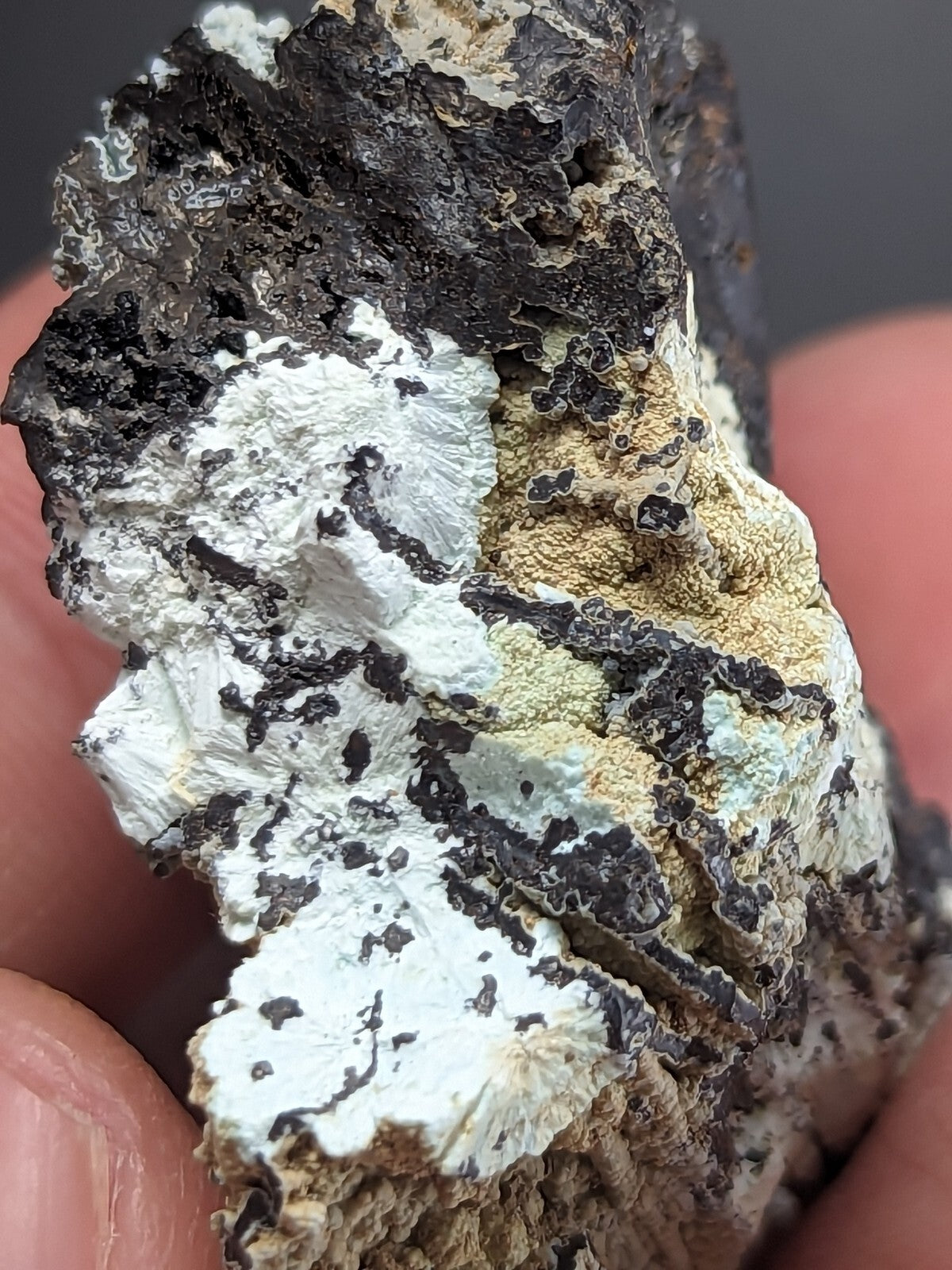A rugged, naturally occurring mineral specimen featuring a striking contrast of white crystalline formations against dark, earthy matrix and patches of yellowish-green patina.