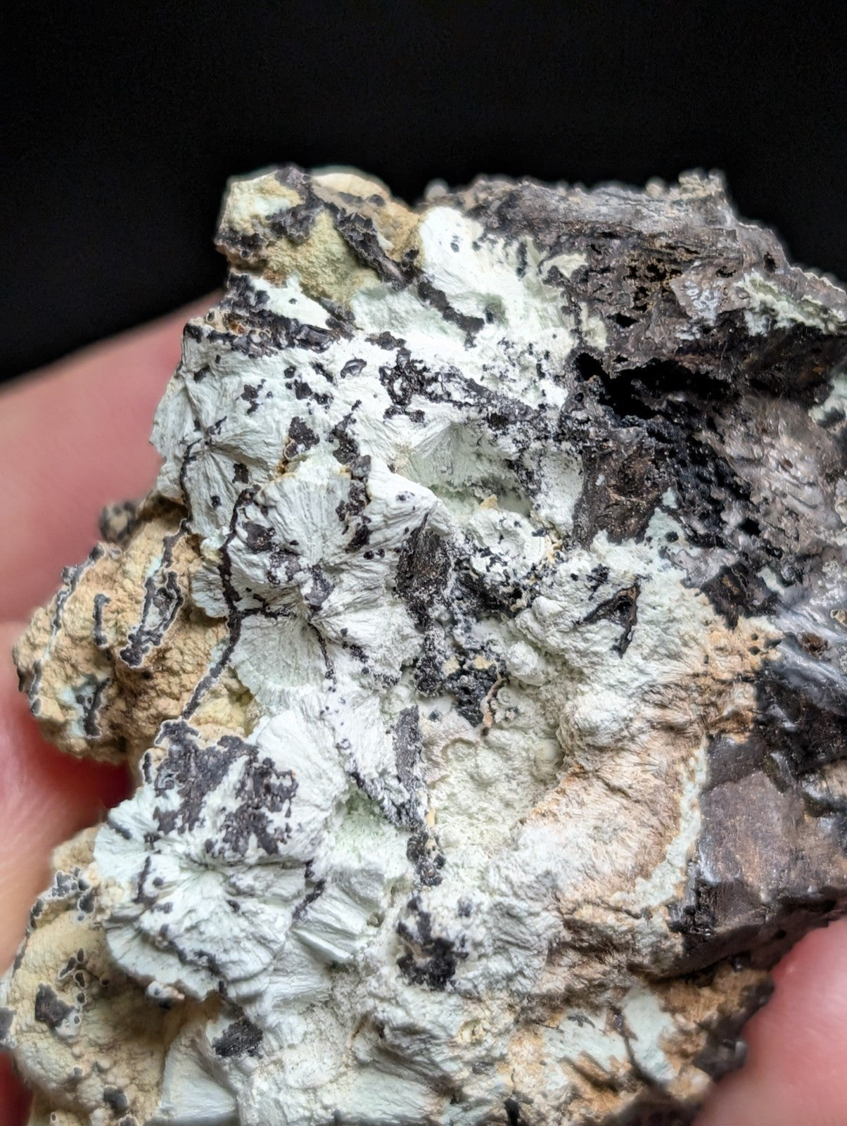 A rugged, multi-toned mineral specimen featuring a textured surface with patches of white, gray, black, and earthy yellow.
