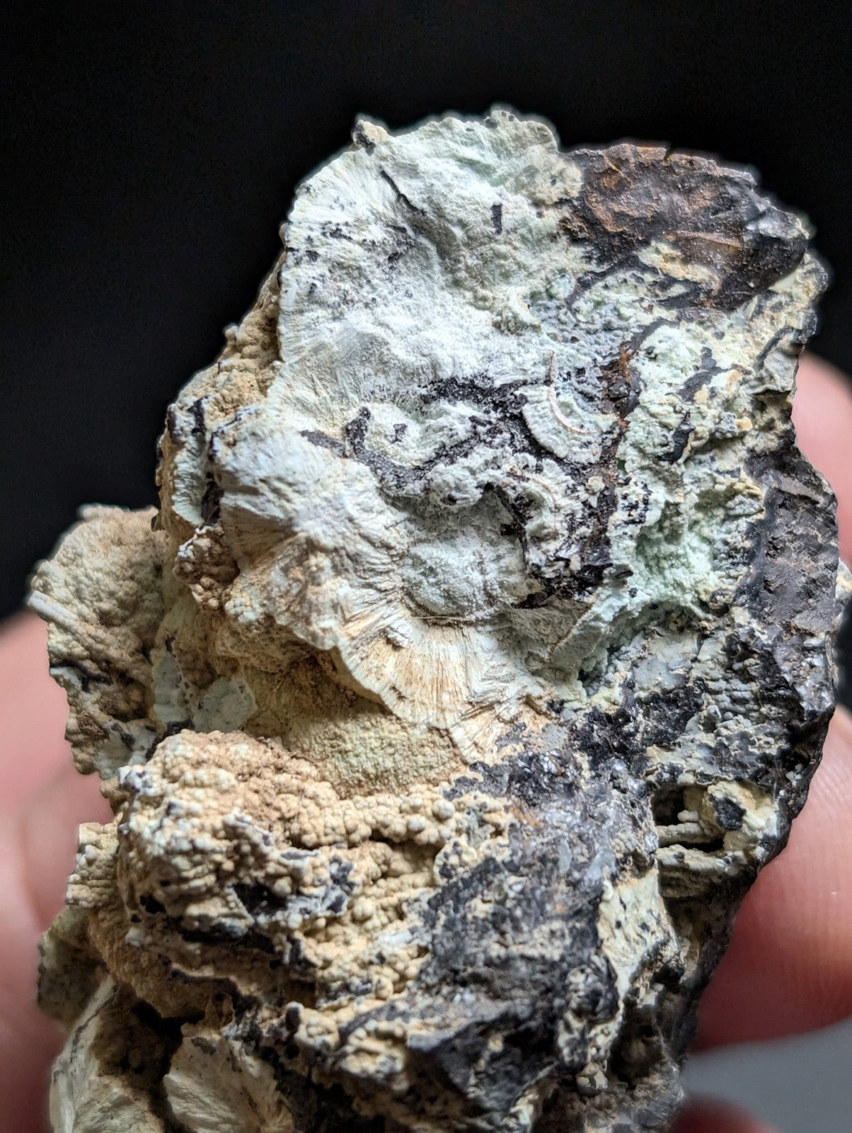 A rugged, multi-toned mineral specimen with a textured surface featuring patches of white, gray, black, and earthy brown.
