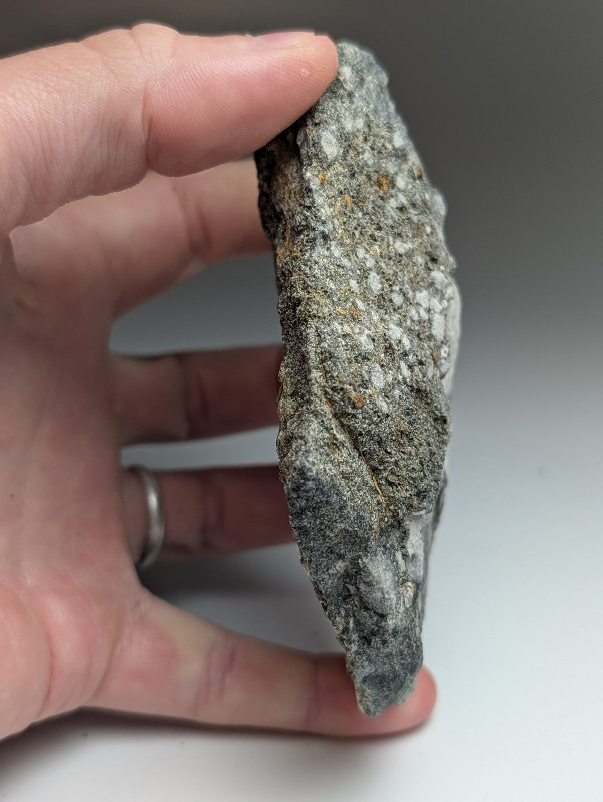 A rough gray pseudoleucite syenite rock with white and brown mineral inclusions from Magnet Cove Arkansas USA