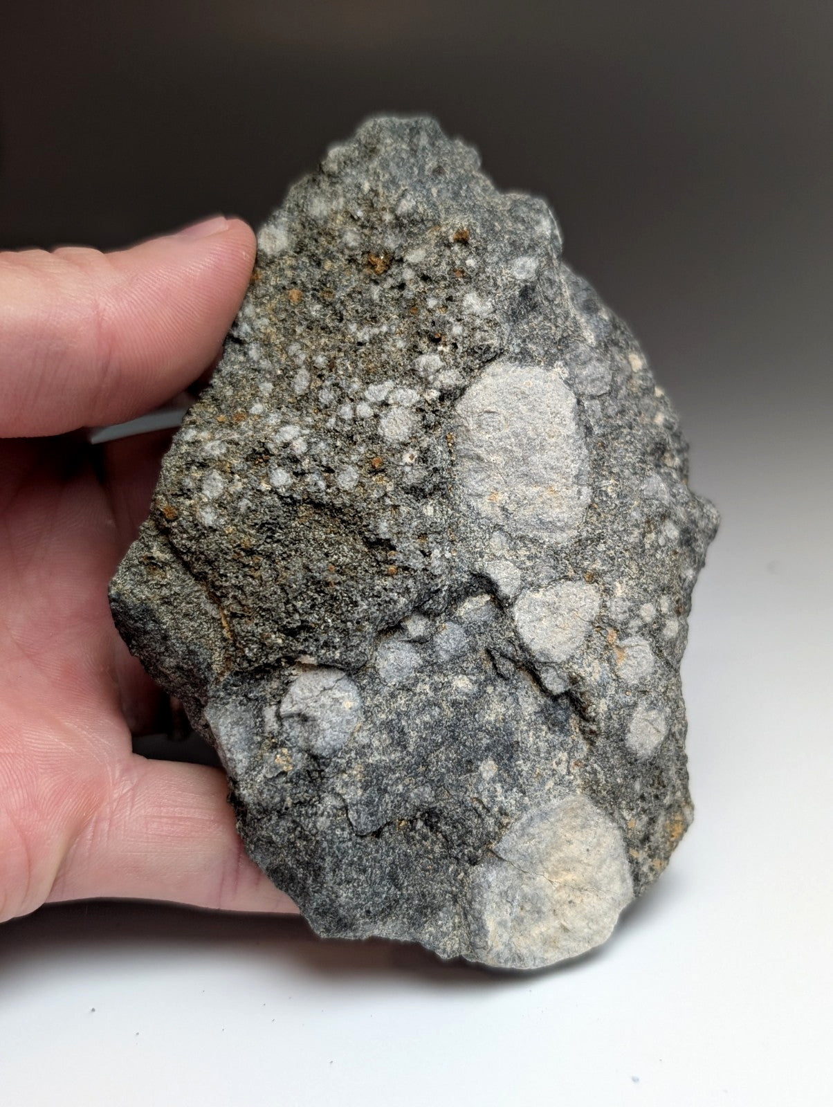 A rugged grayish pseudoleucite syenite rock with rough texture and lighter mineral inclusions from magnet cove arkansas