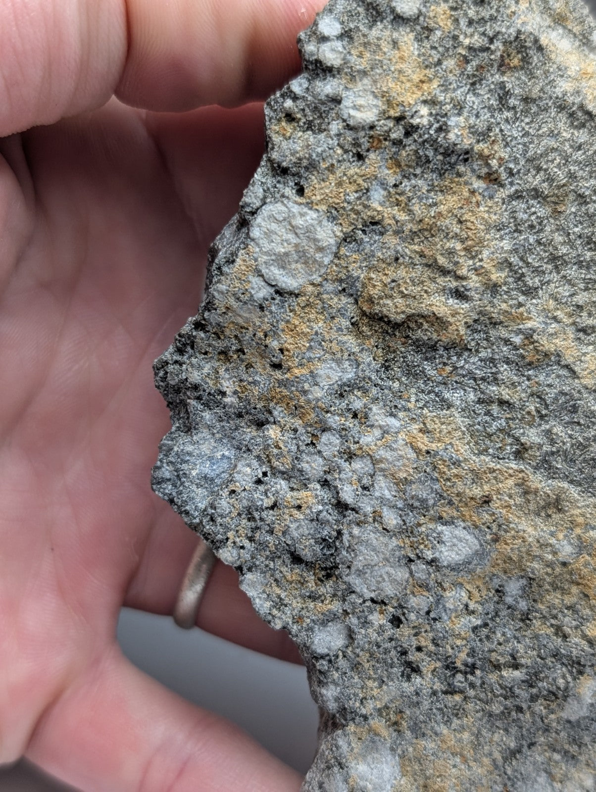 A rugged gray pseudoleucite syenite rock with yellow and white mineral patches from magnet cove arkansas held in hand