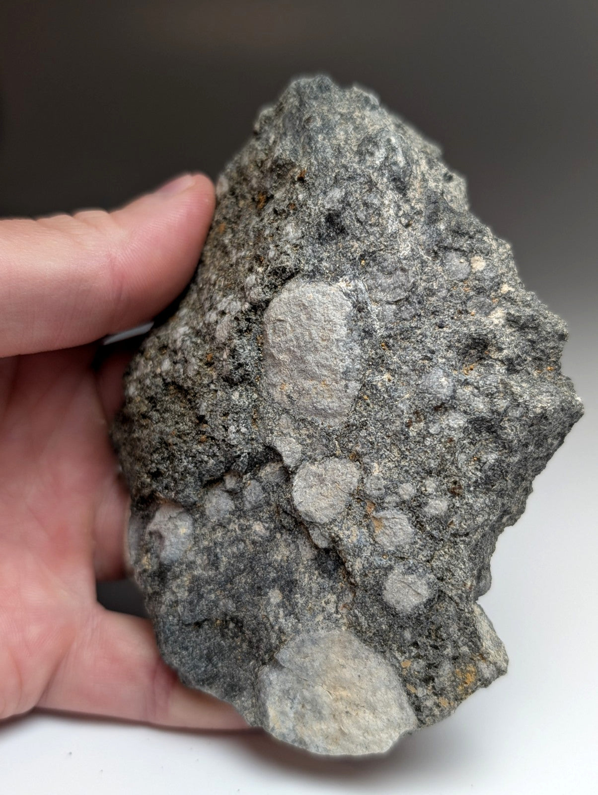 A rugged dark gray pseudoleucite syenite rock with lighter circular inclusions from magnet cove arkansas usa