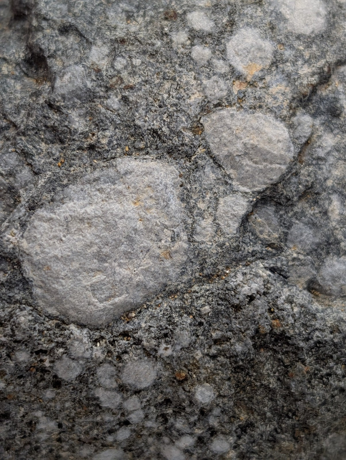 Gray textured pseudoleucite syenite stone with rounded pebbles embedded in rough concrete from magnet cove arkansas usa