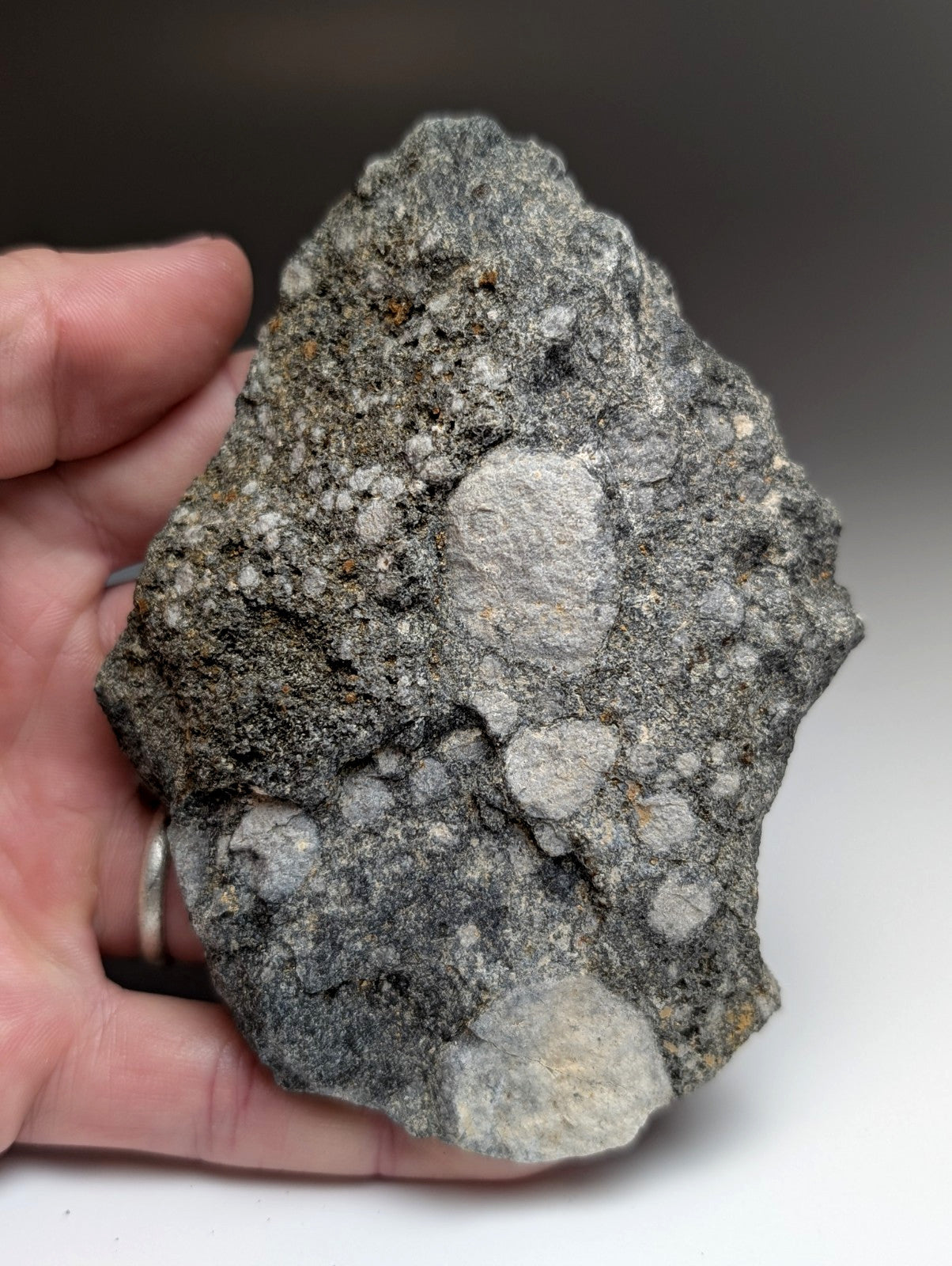 Pseudoleucite syenite rock from magnet cove igneous complex arkansas with gray rugged surface and lighter mineral pockets