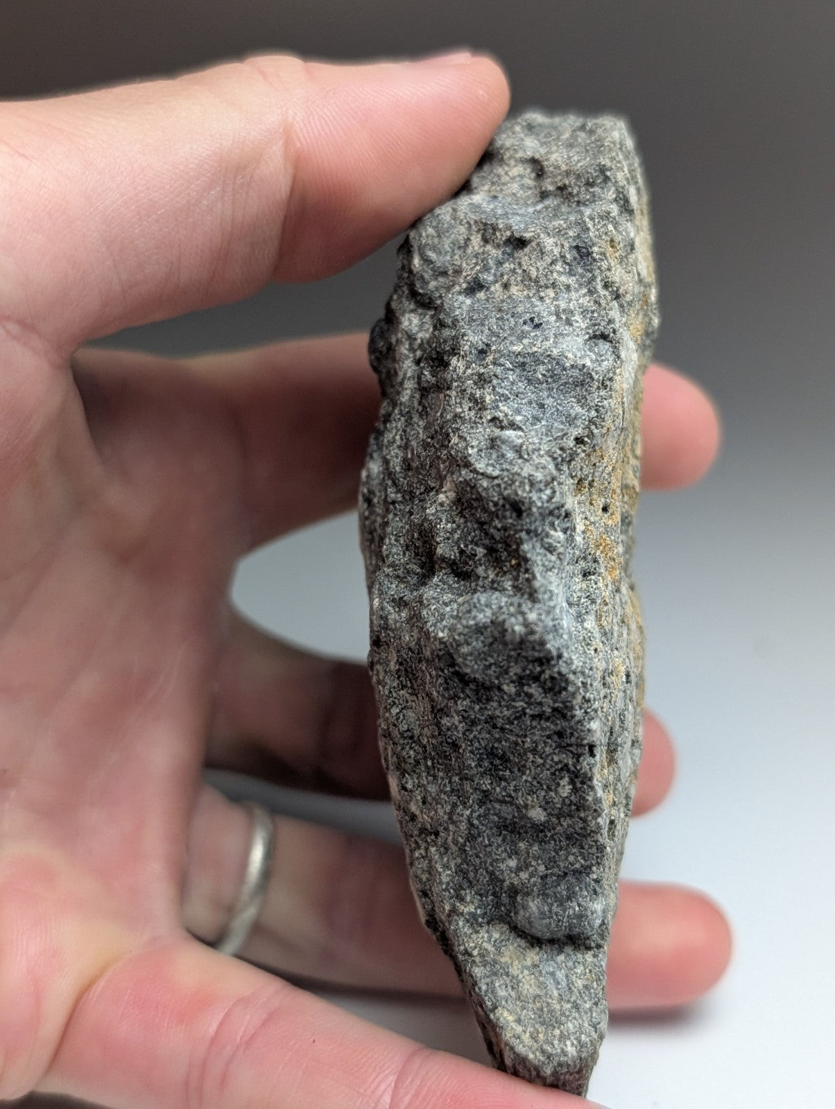 A rough gray pseudoleucite syenite stone with textured surface and irregular edges from magnet cove arkansas usa