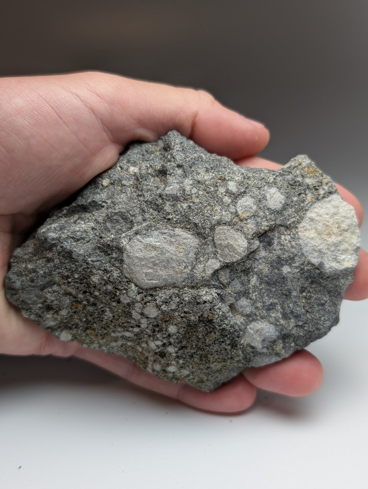 A hand holds a rough gray pseudoleucite syenite rock with lighter circular inclusions from Arkansas usa