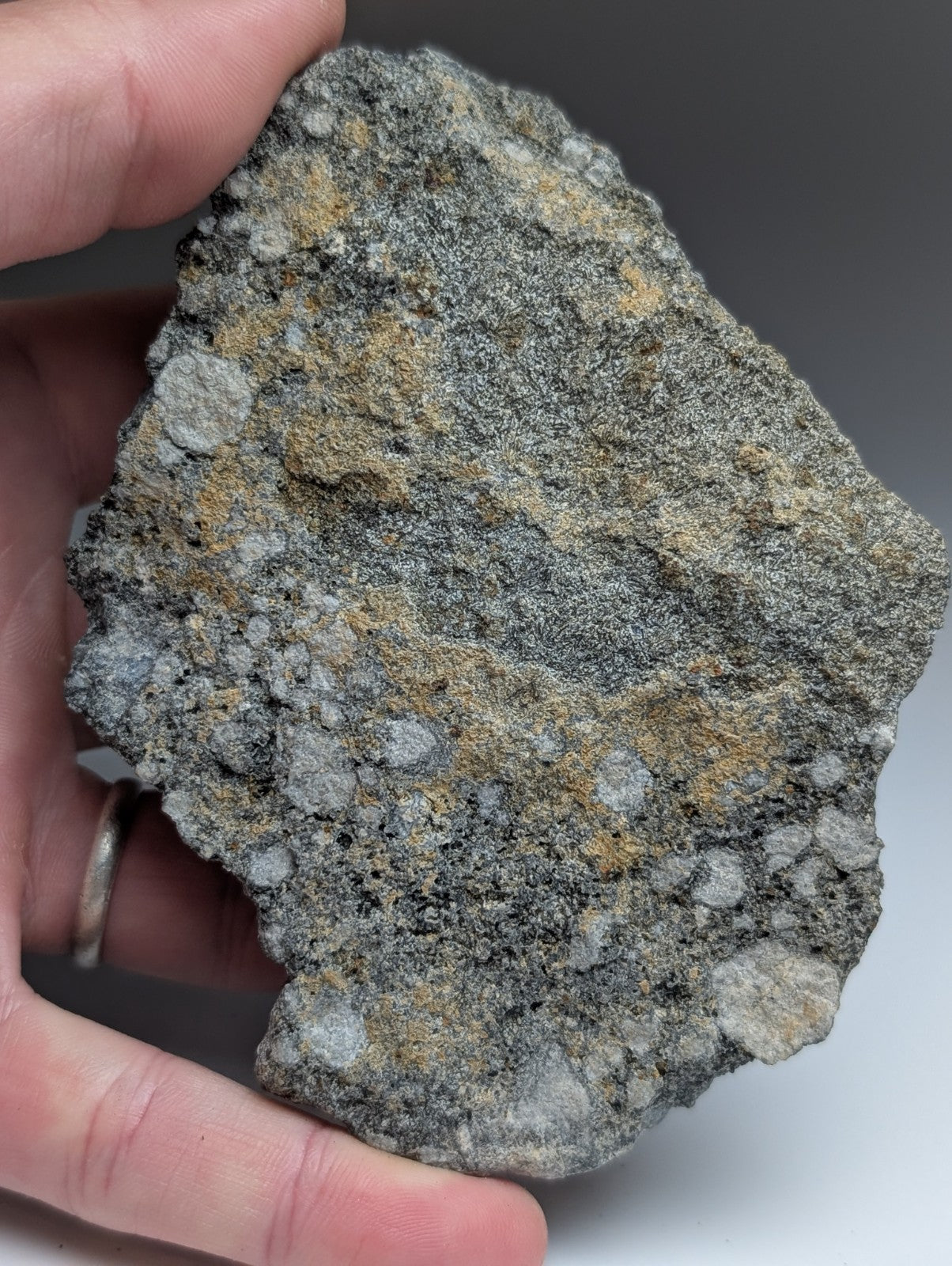 Pseudoleucite syenite rock with mottled gray surface and yellowish mineral patches from magnet cove arkansas usa